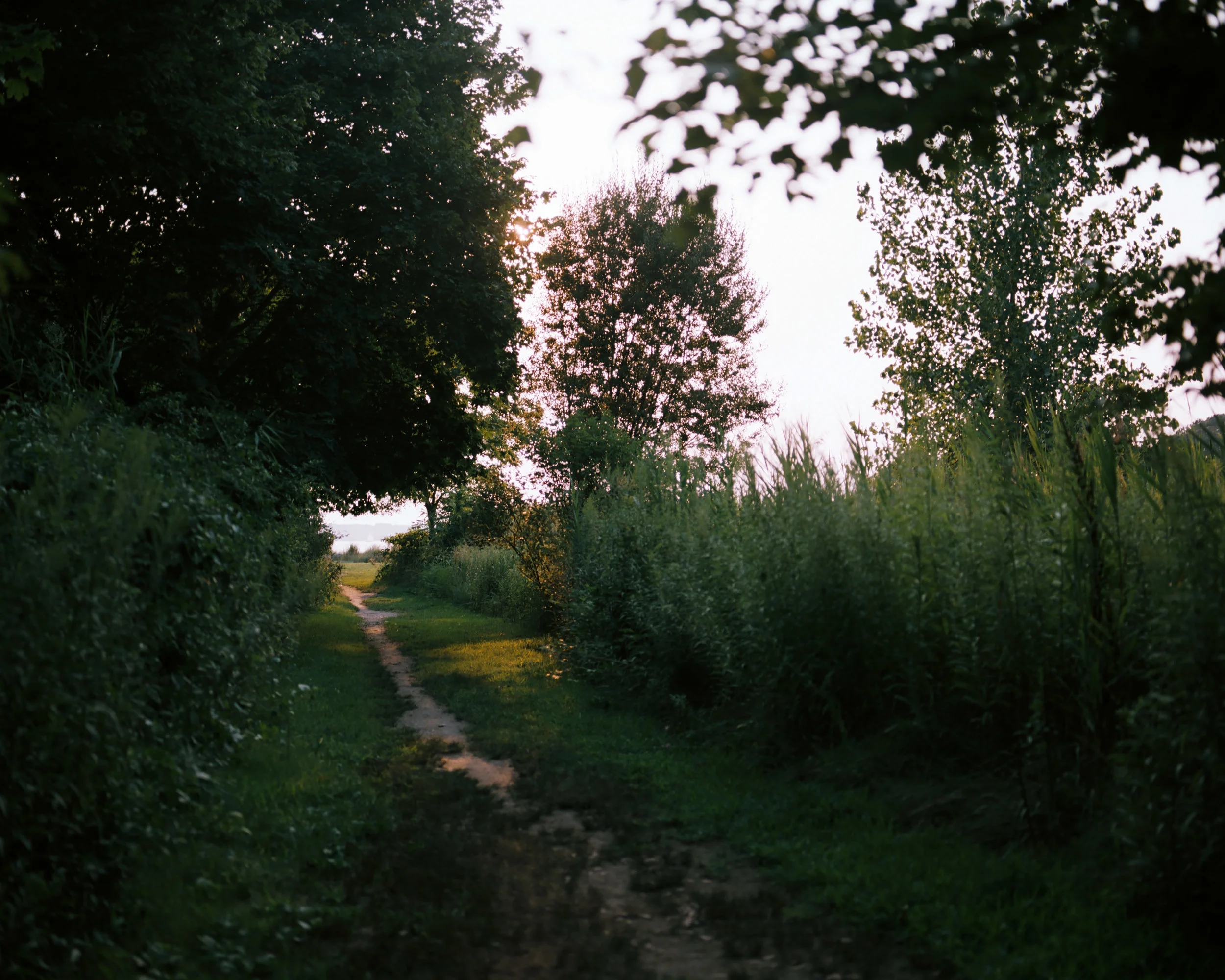  The Last Summer Sunset / 2018 