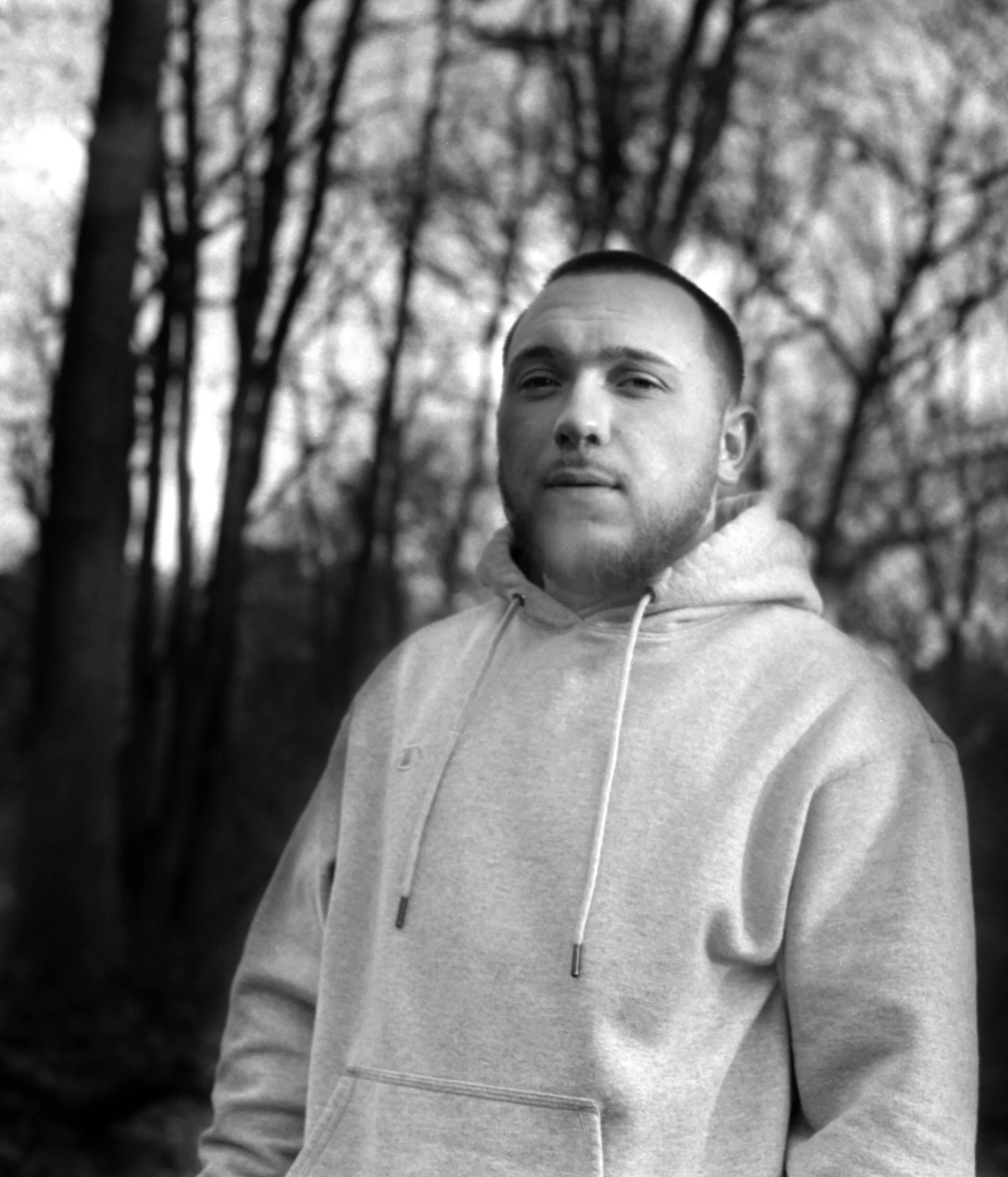 Rendezvous in the Woods