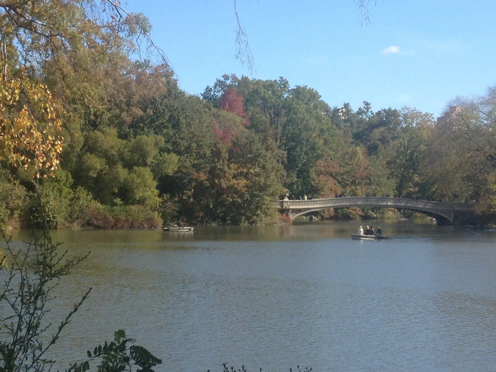 Central Park 1_WL.jpeg