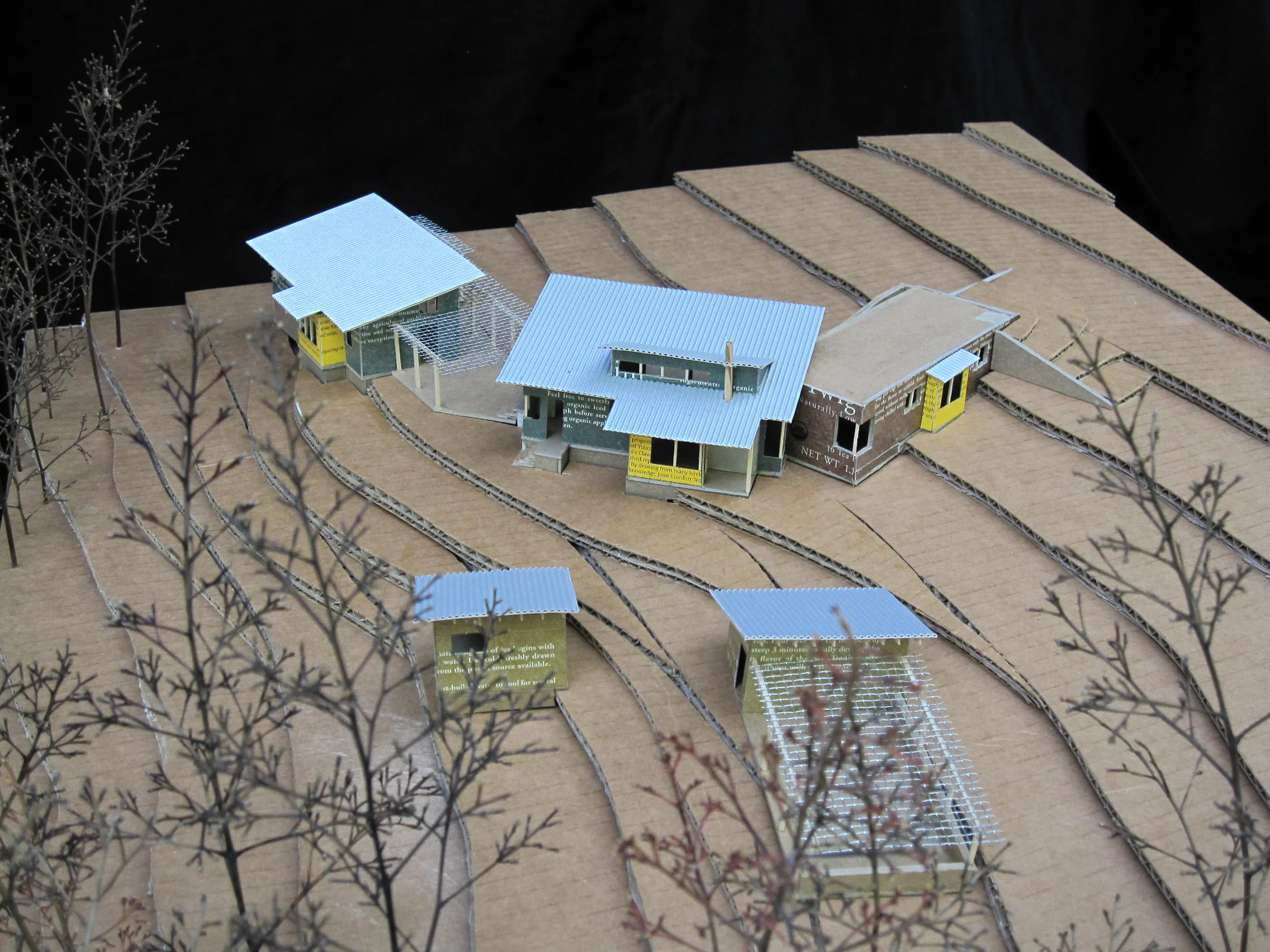 Occidental residence