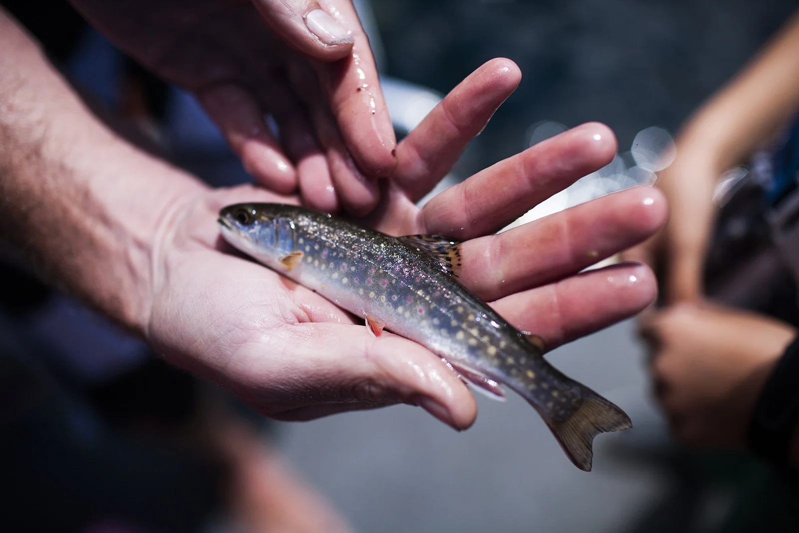 20110708_0055.jpg