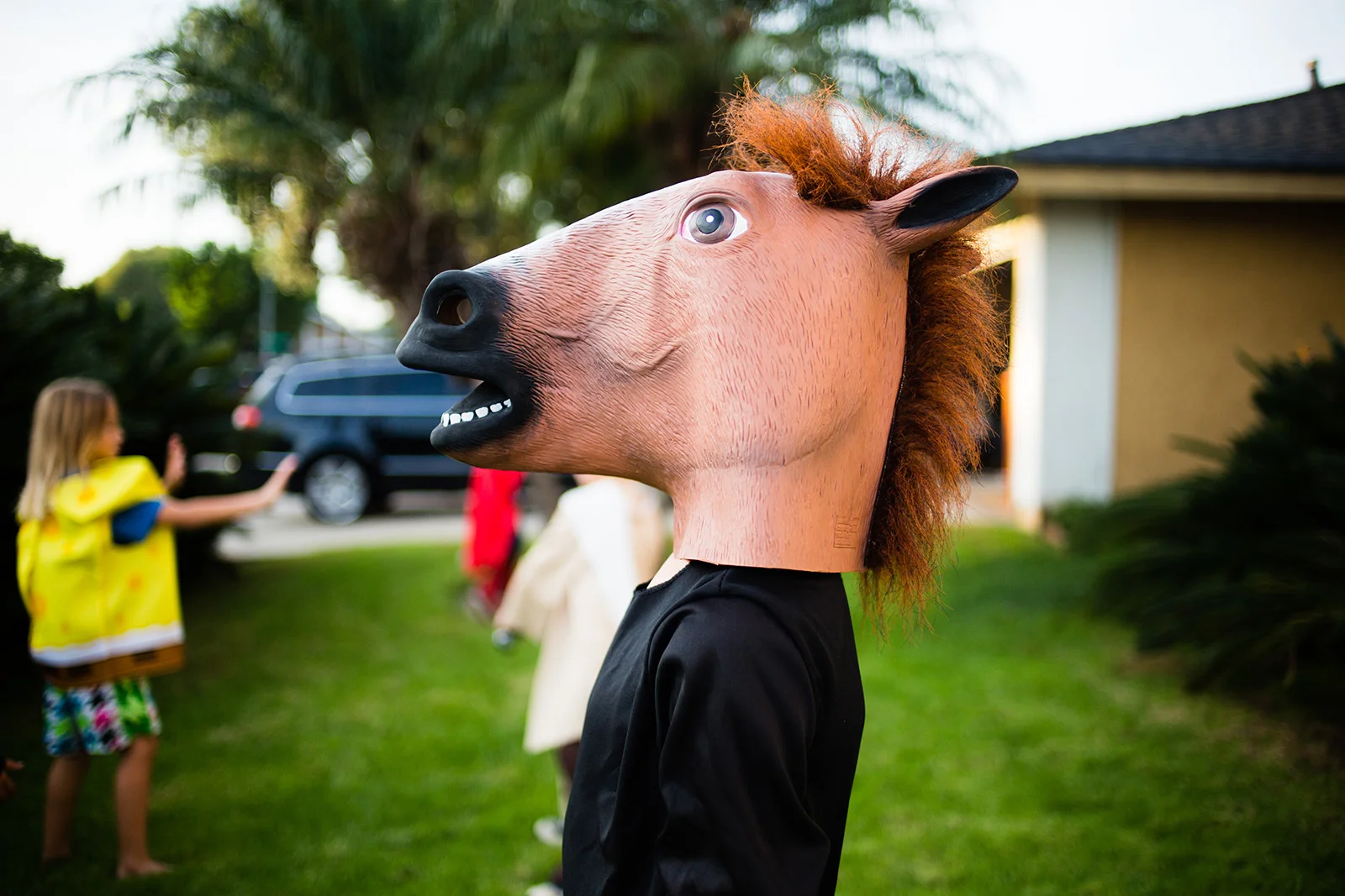 20151024_00058.jpg