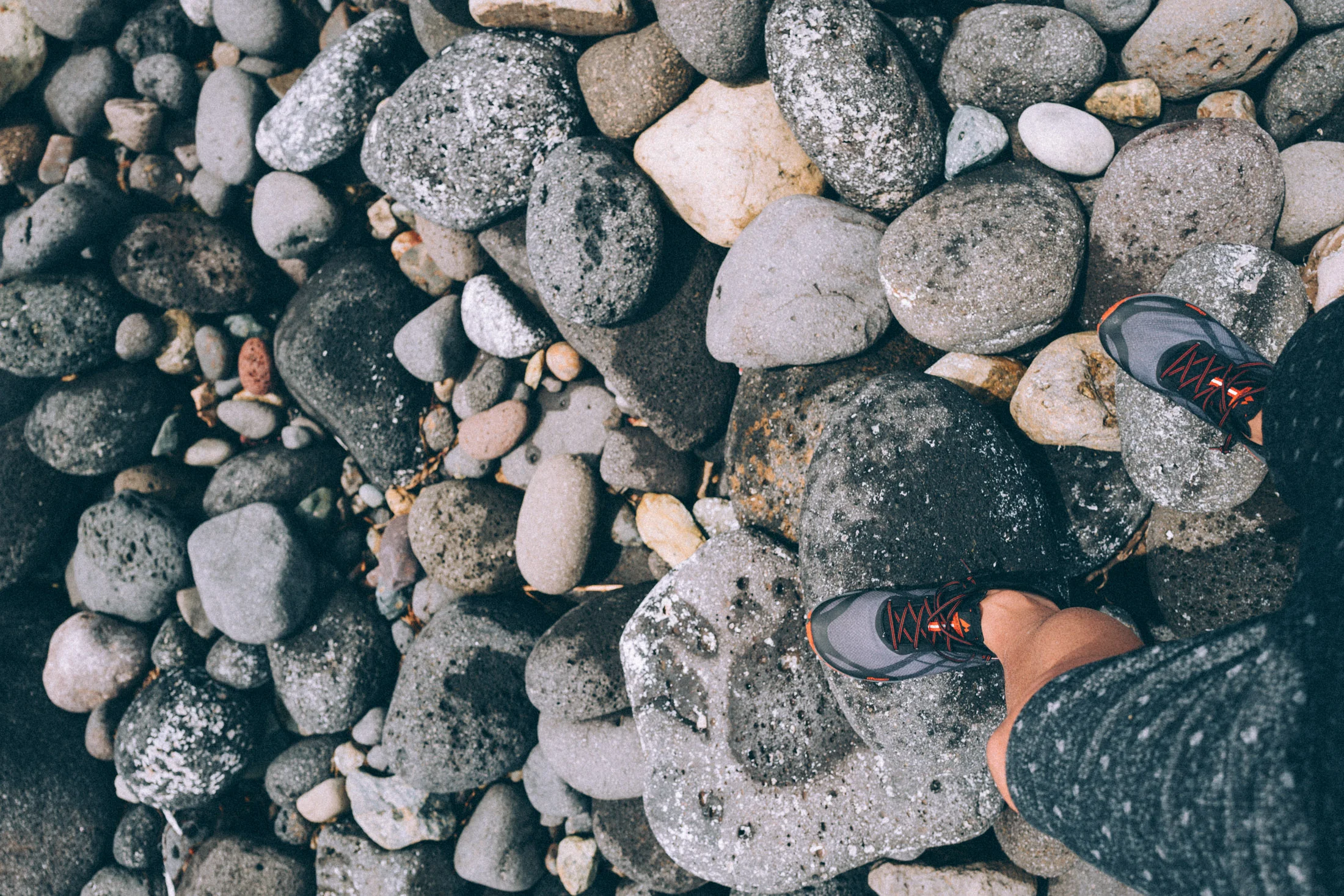 20190526_00235.jpg