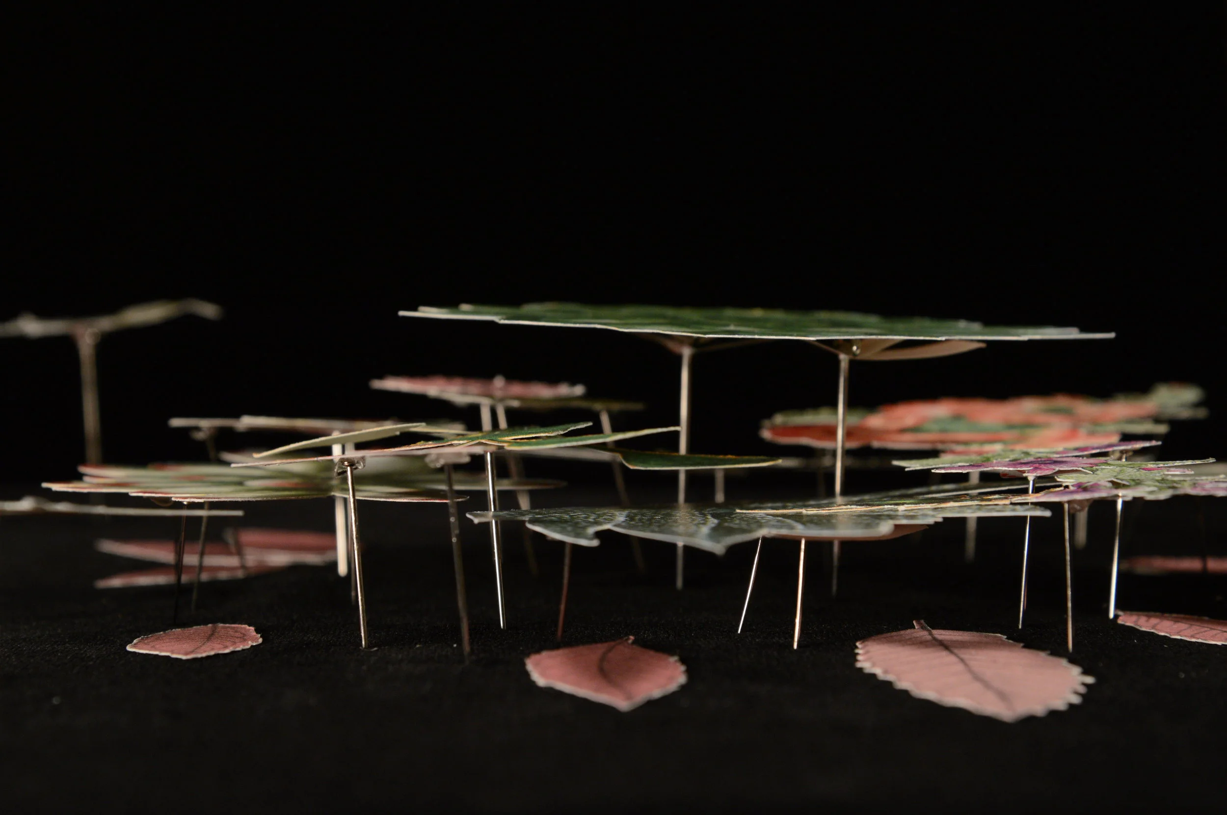 (Detail) The World, Strange and Beautiful