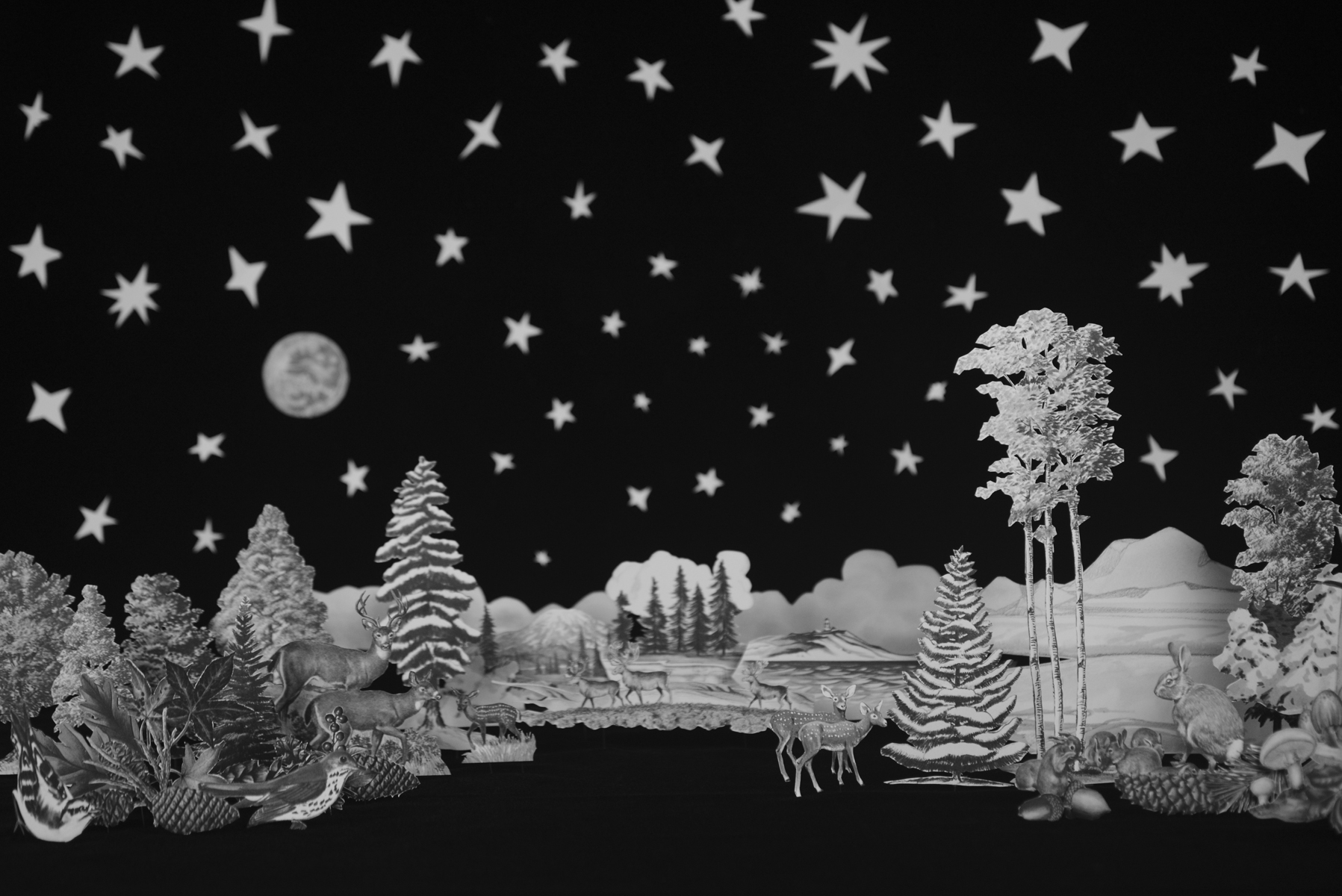 Winter Wonderland (2016)