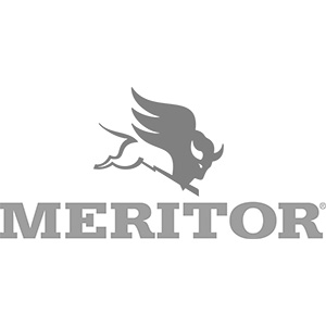 meritor.jpg