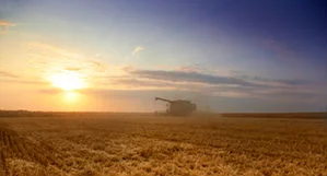 istock_000009928788small.jpg