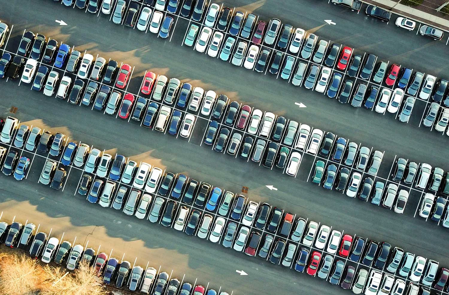 cars.jpg