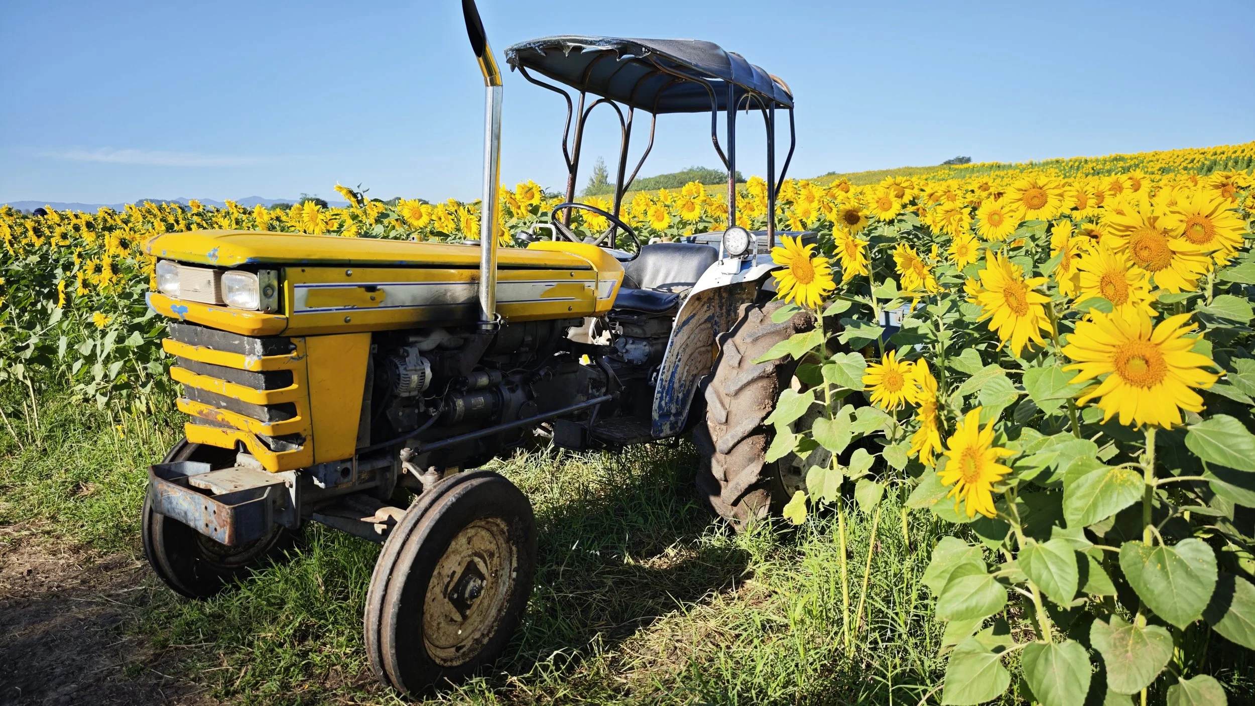 Sunflower Tractor_shutterstock_2716445277.jpg