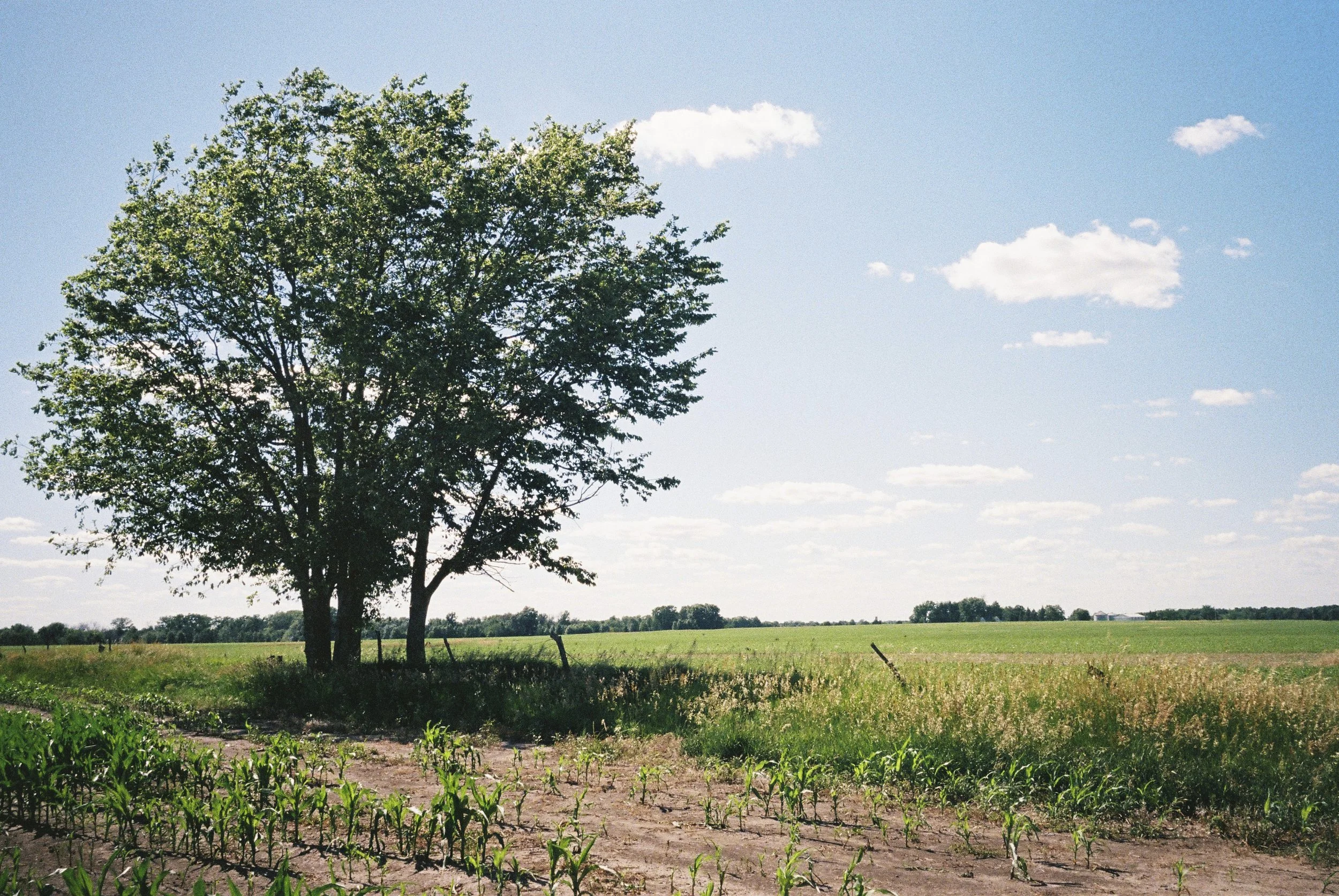 Photo24.jpg