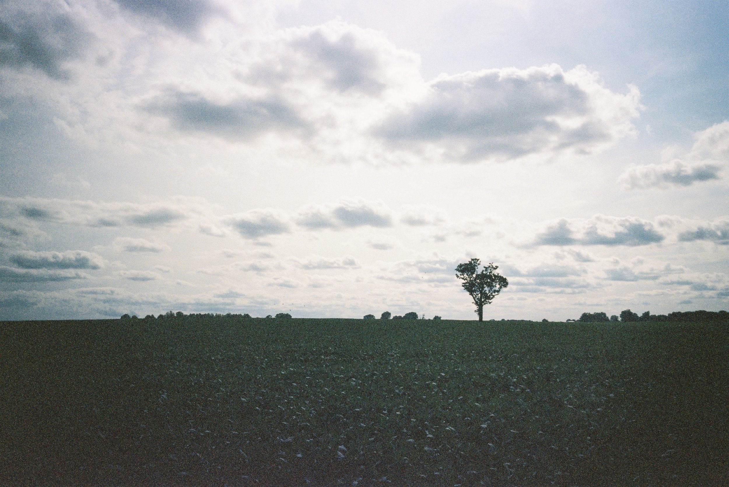 Photo6 1.jpg