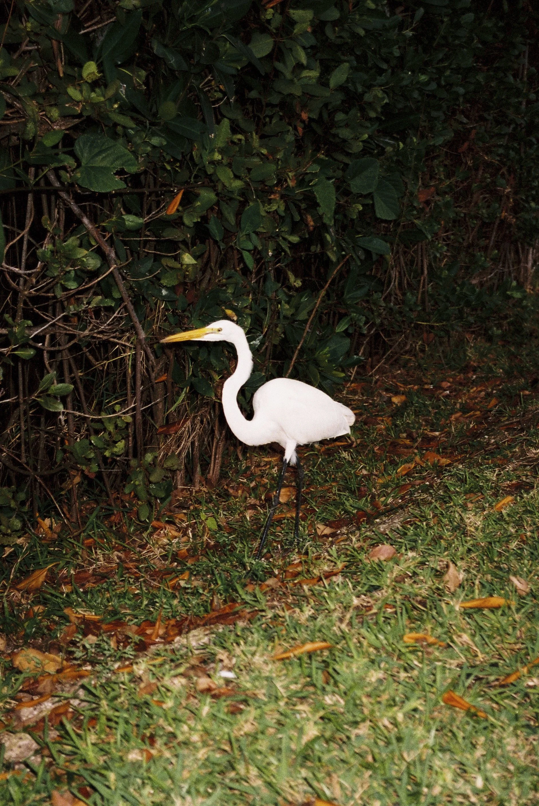 Photo6.jpg