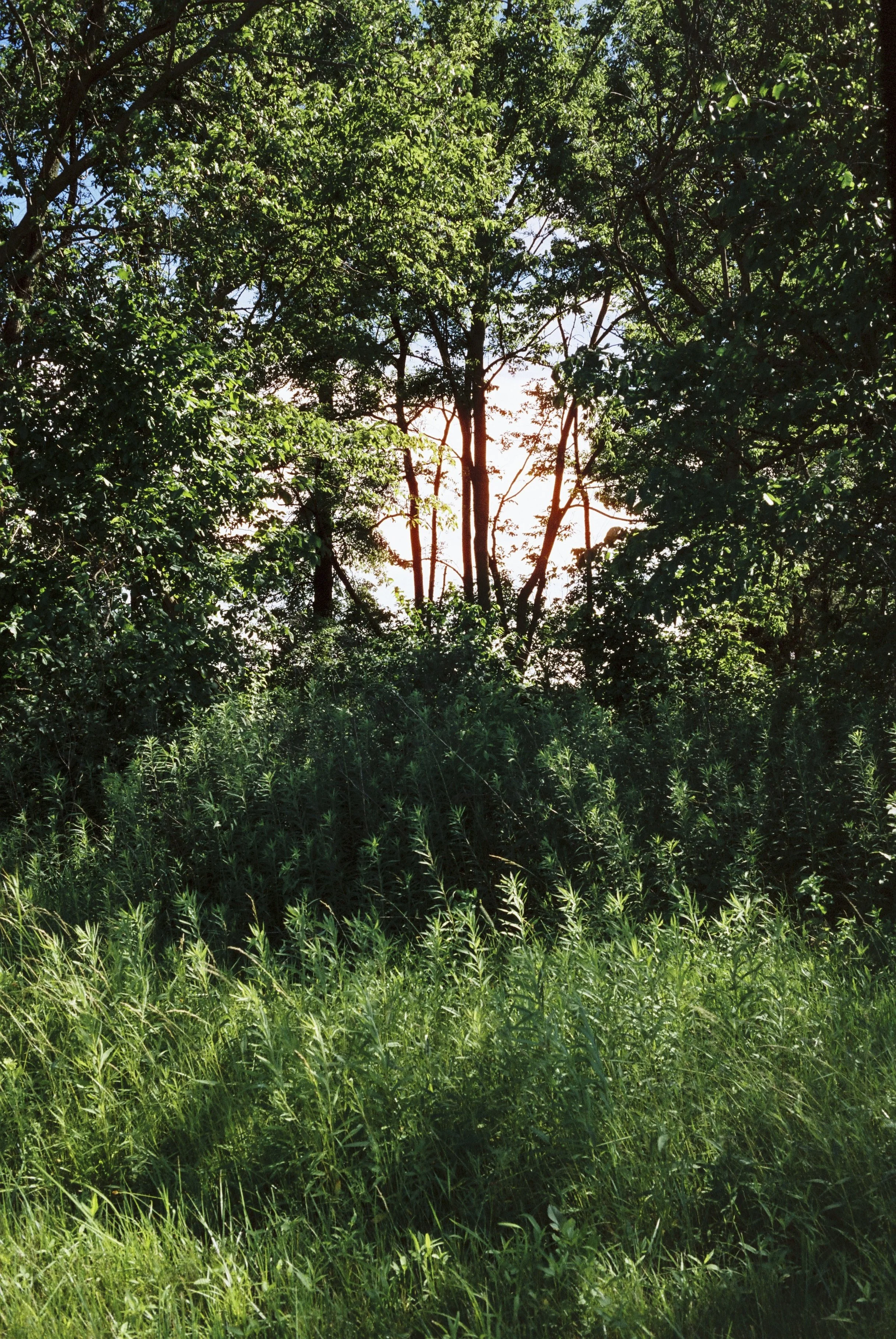 Photo10.jpg