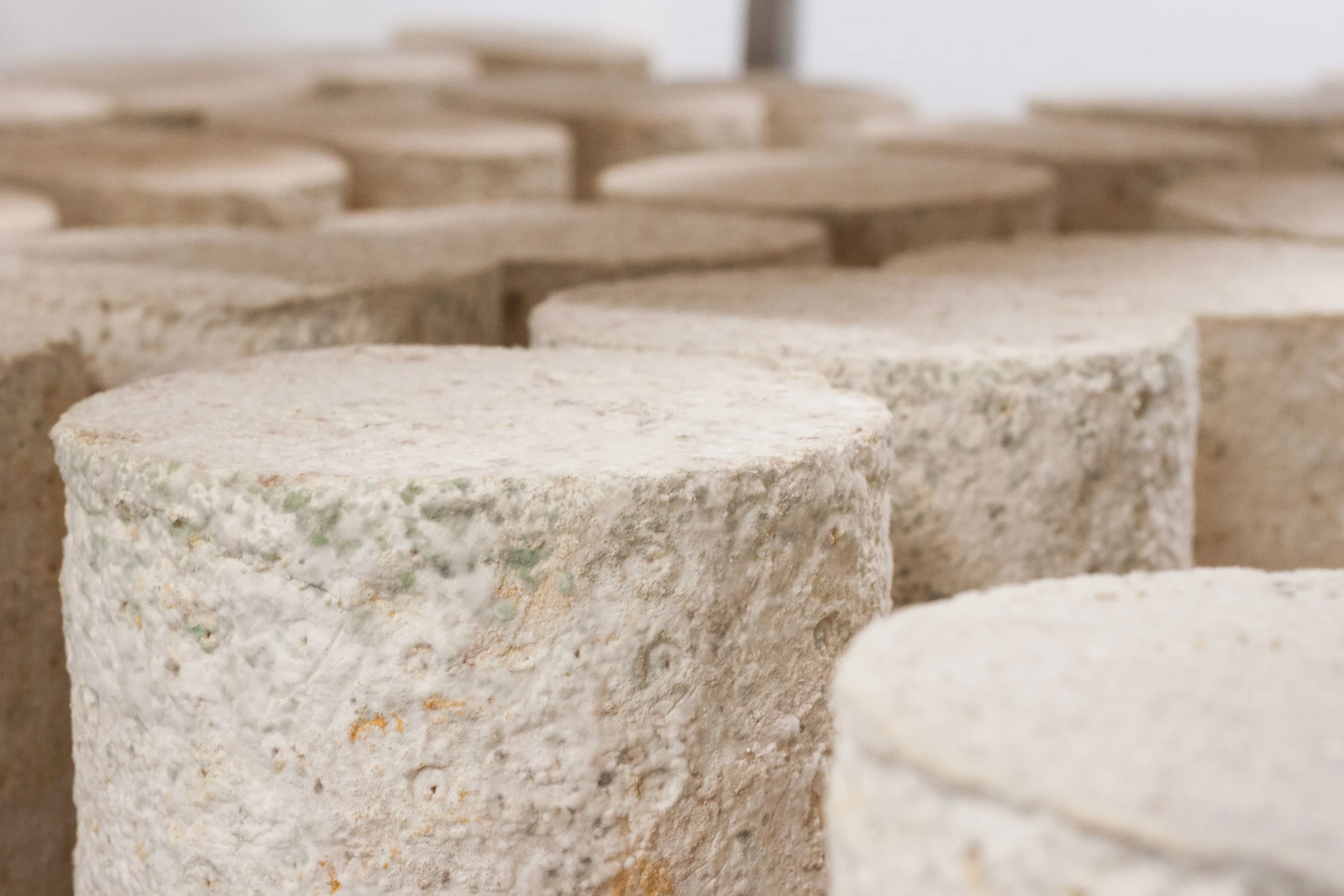 Bath Soft Cheese Company