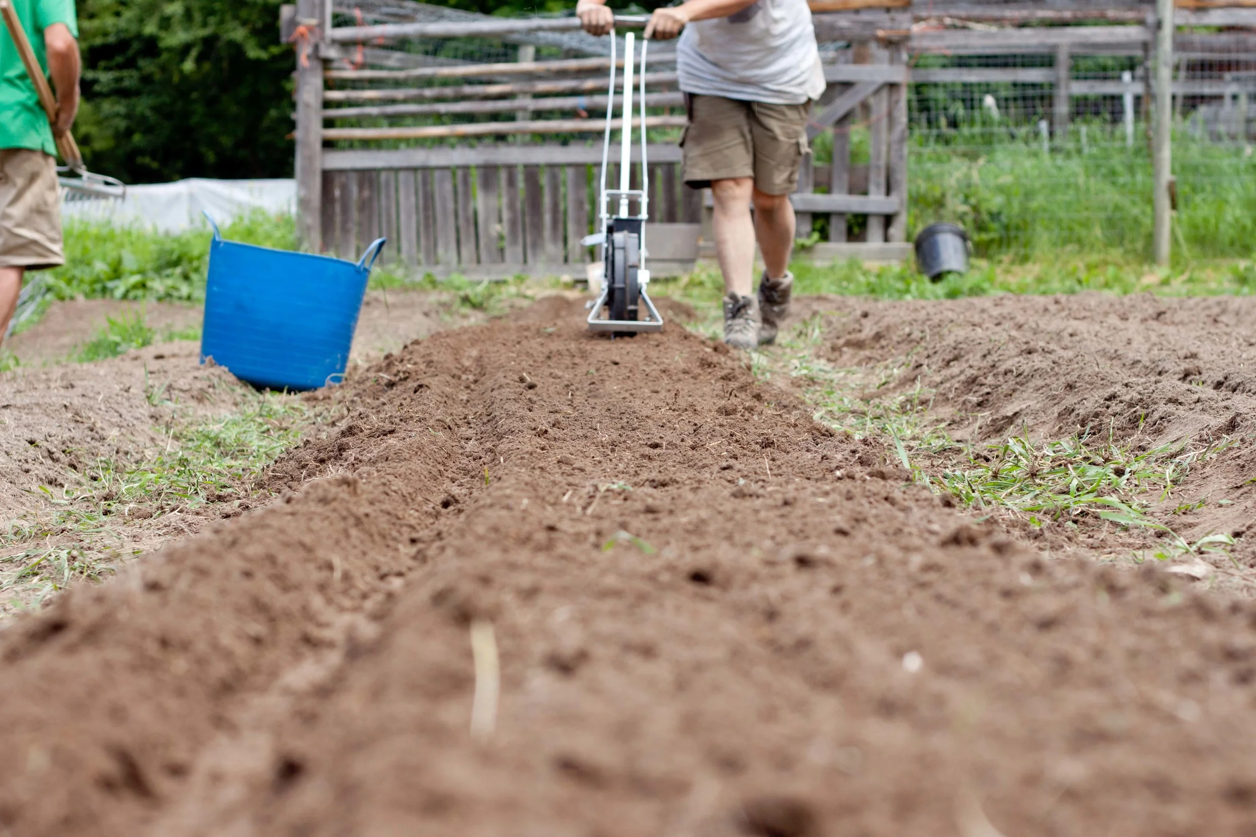 How farming changed the way I eat