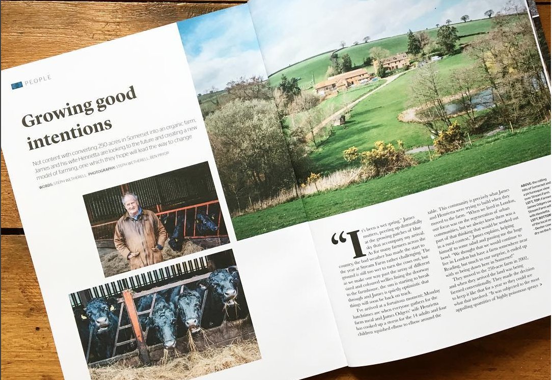 Walnut Magazine - Growing Good Intentions