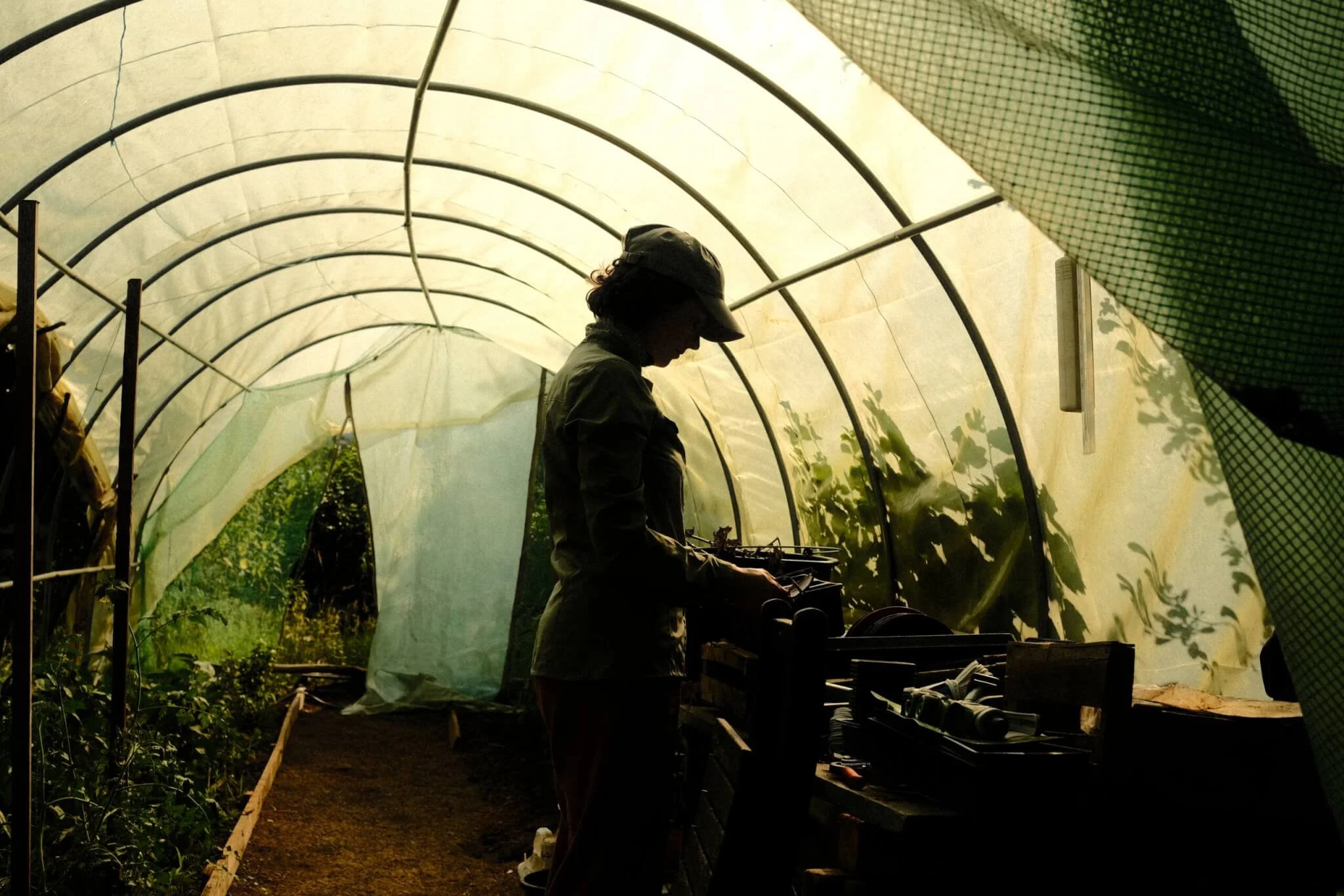 Wicked Leeks - The case for a basic income for farmers