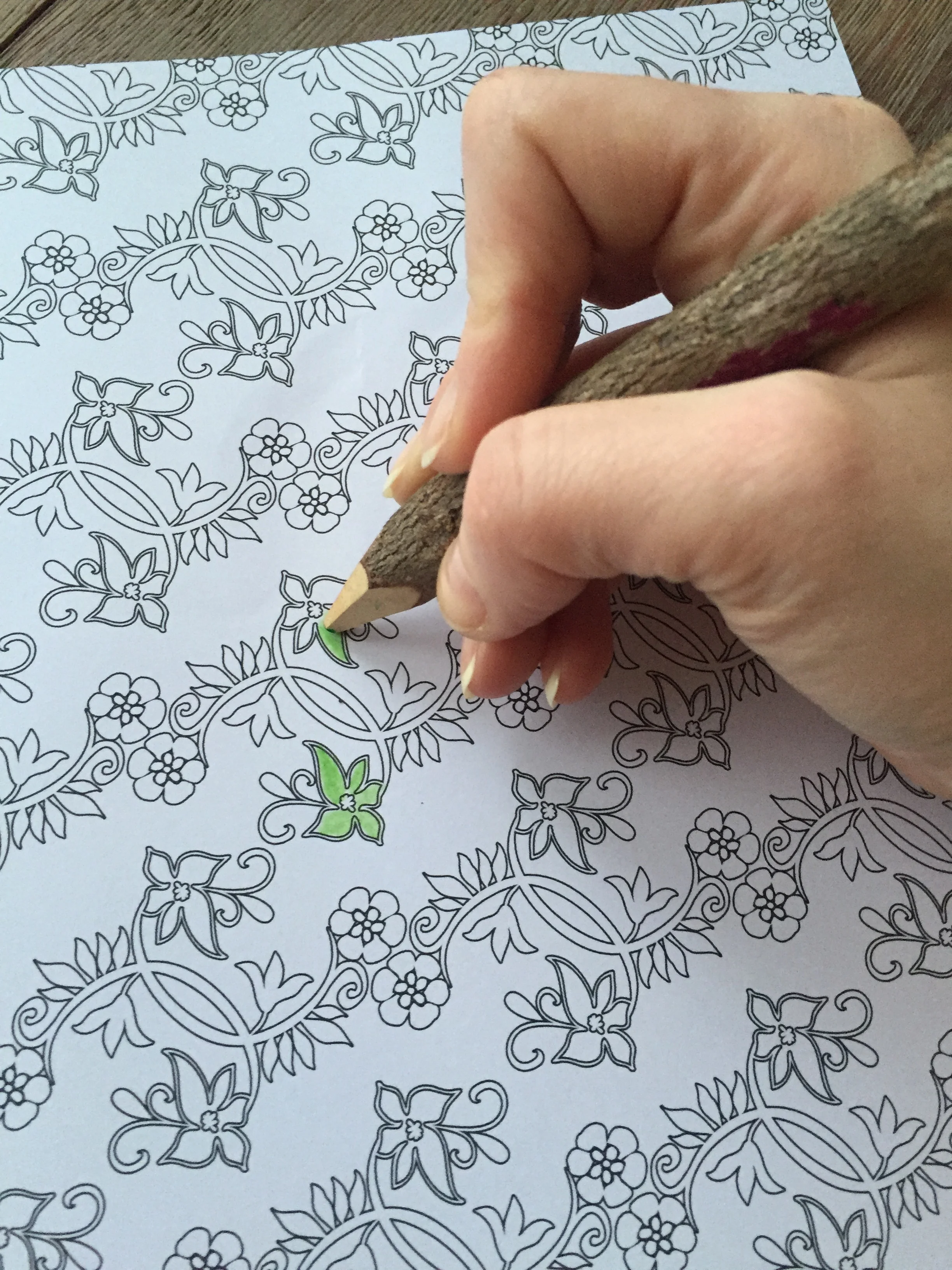 Disney Frozen and Disney Princess Art Therapy Colouring Books ...