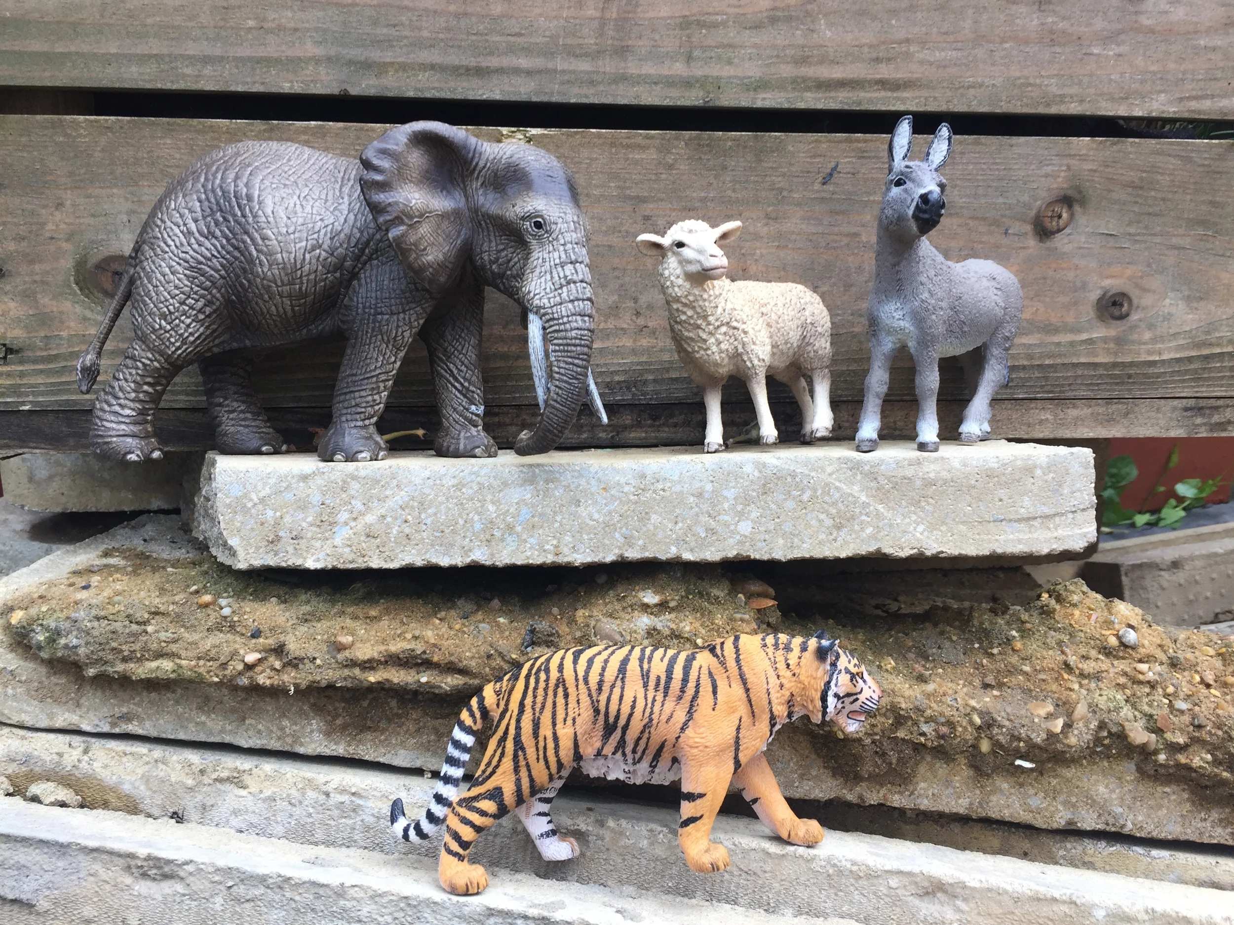 Schleich Educational Toys