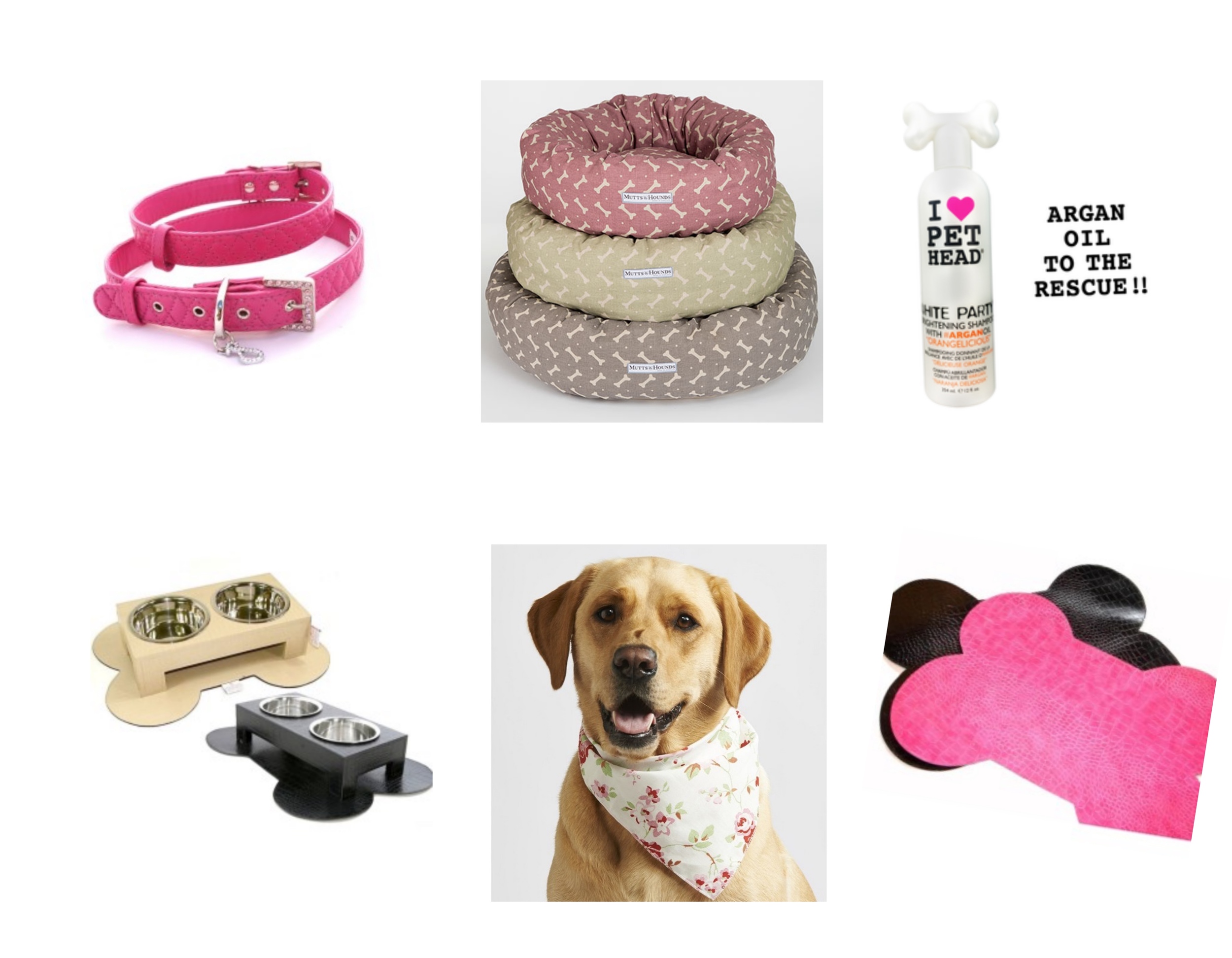 Top Dog Apparel Wish List