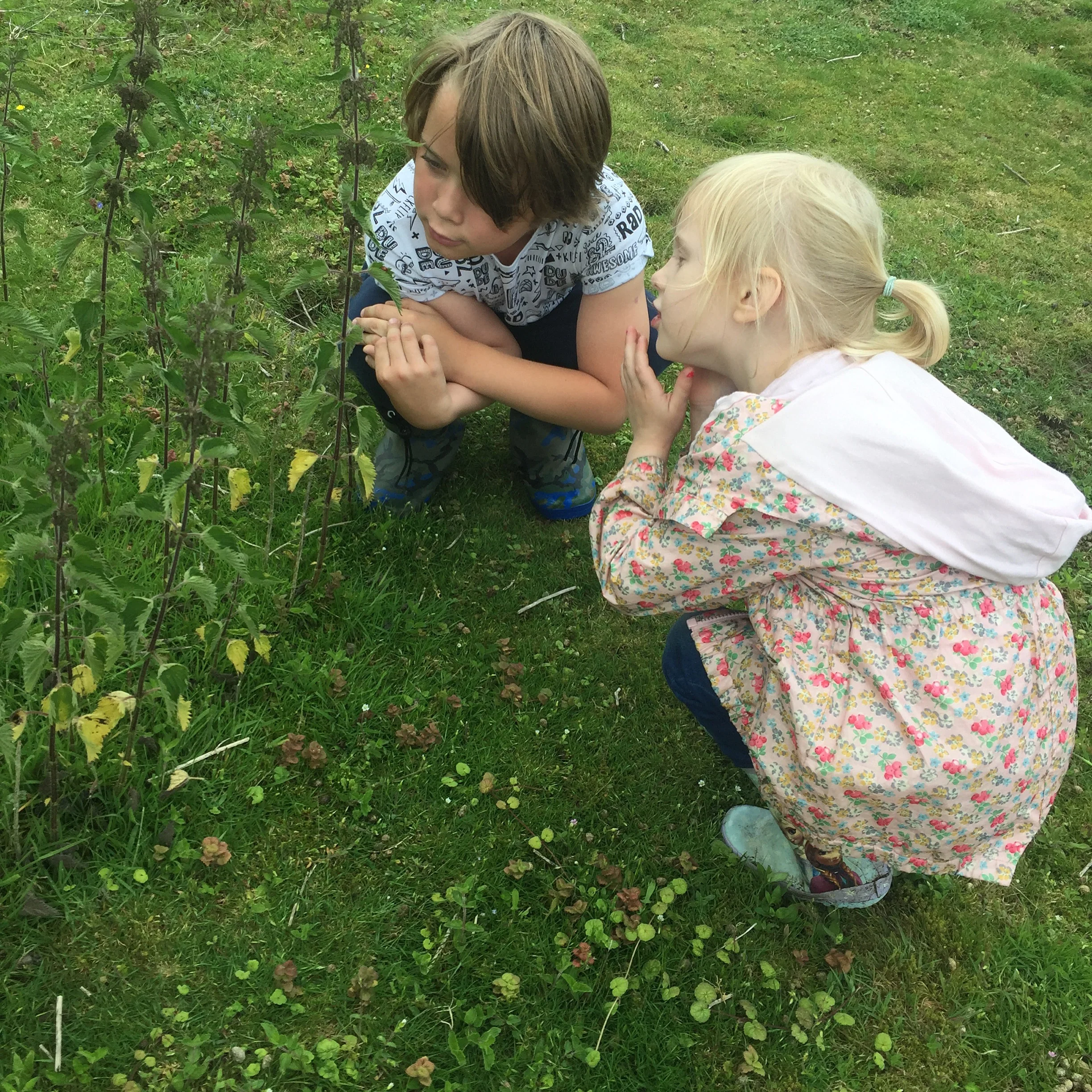 Confessions of a Summer Parent with Anchor