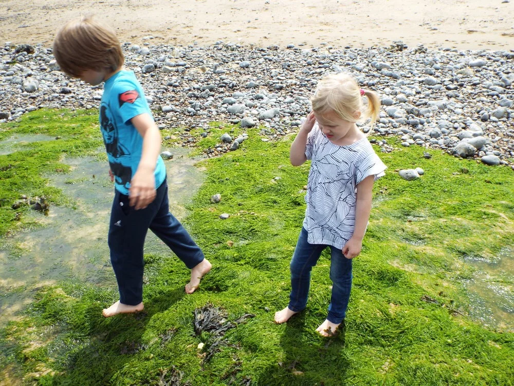 Rock Pooling in West Runton
