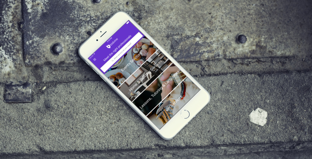 Bidvine - Finding Local Professionals