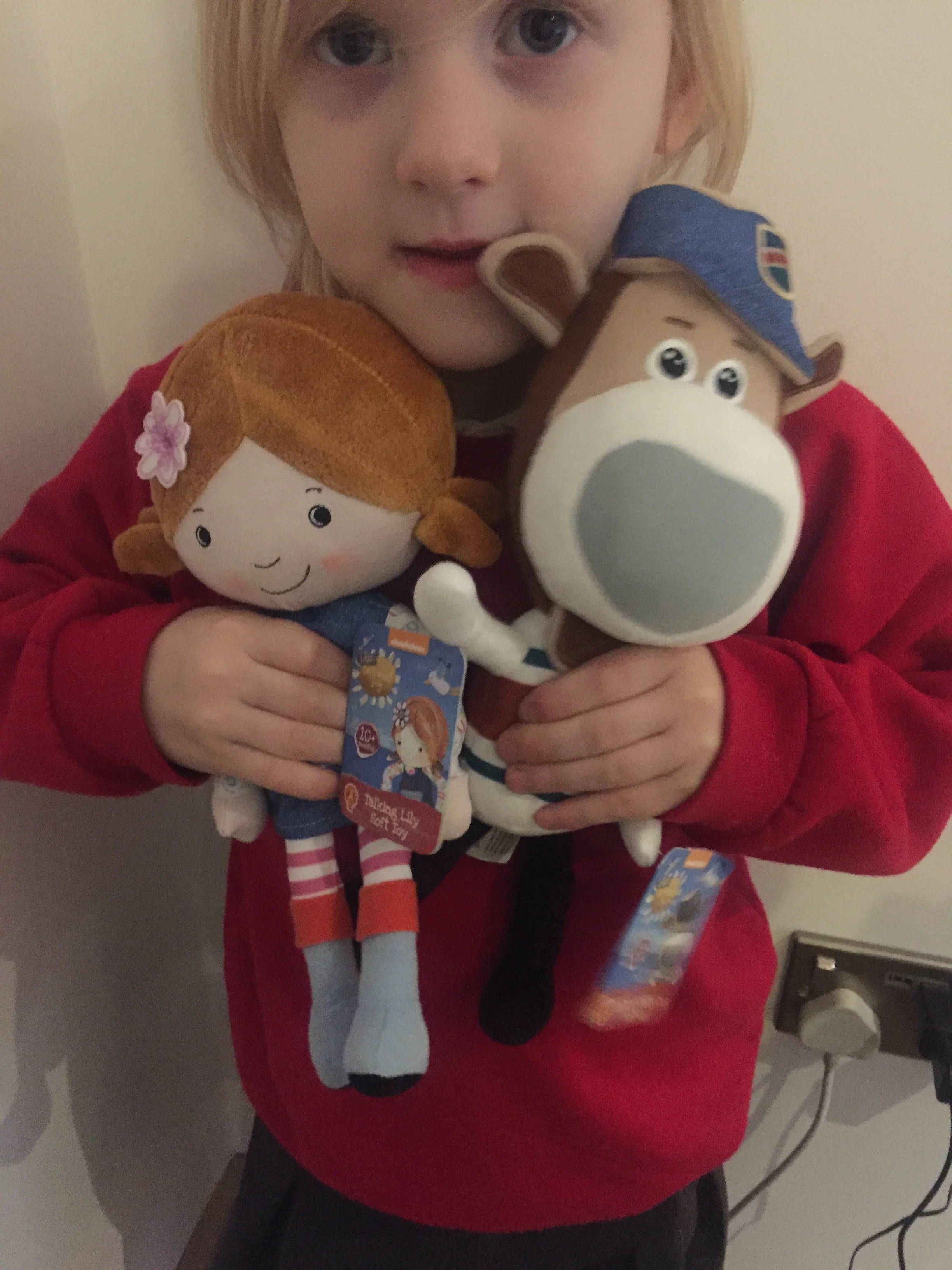 Lily's Driftwood Bay