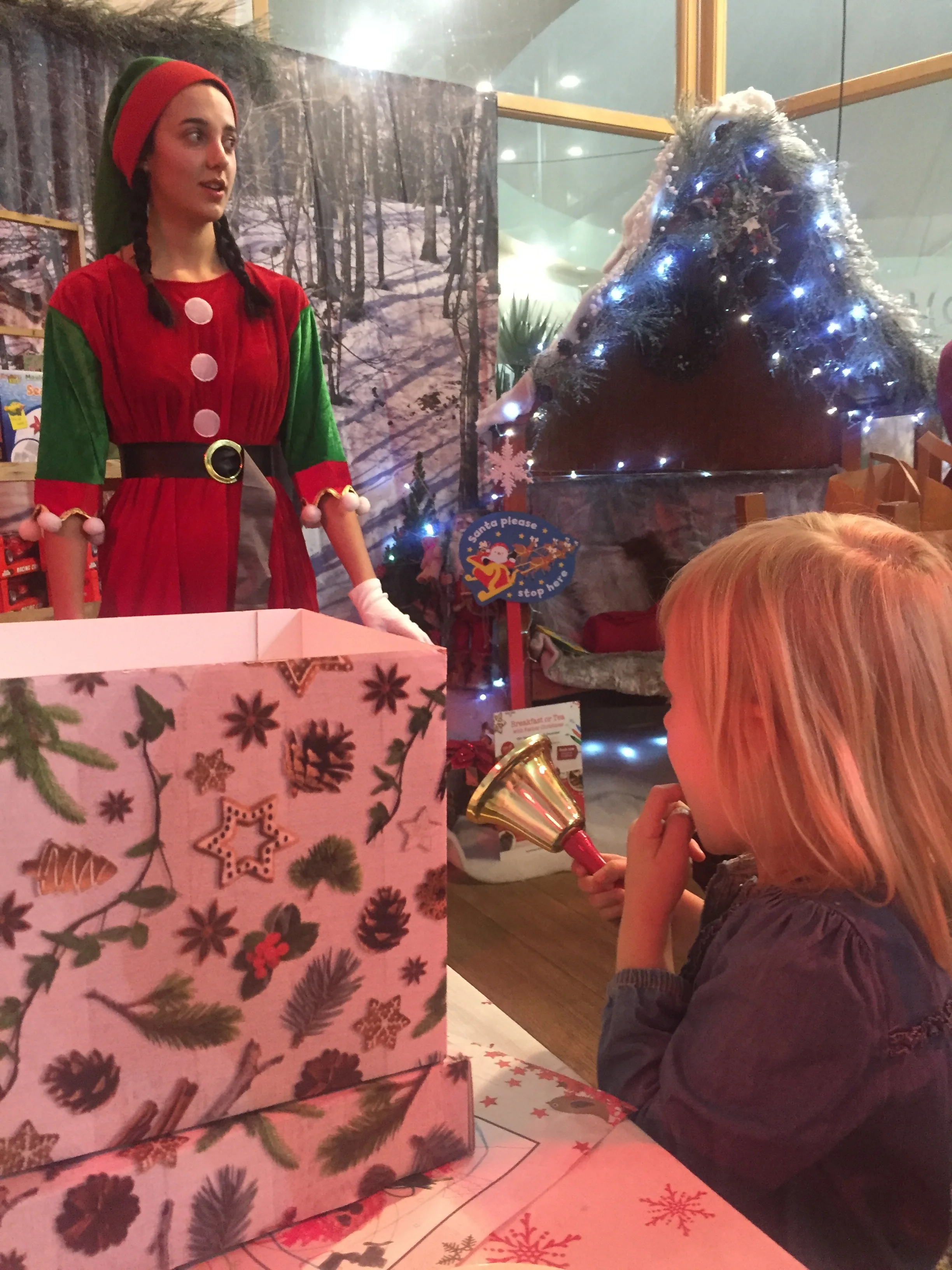 Afternoon Tea with Santa