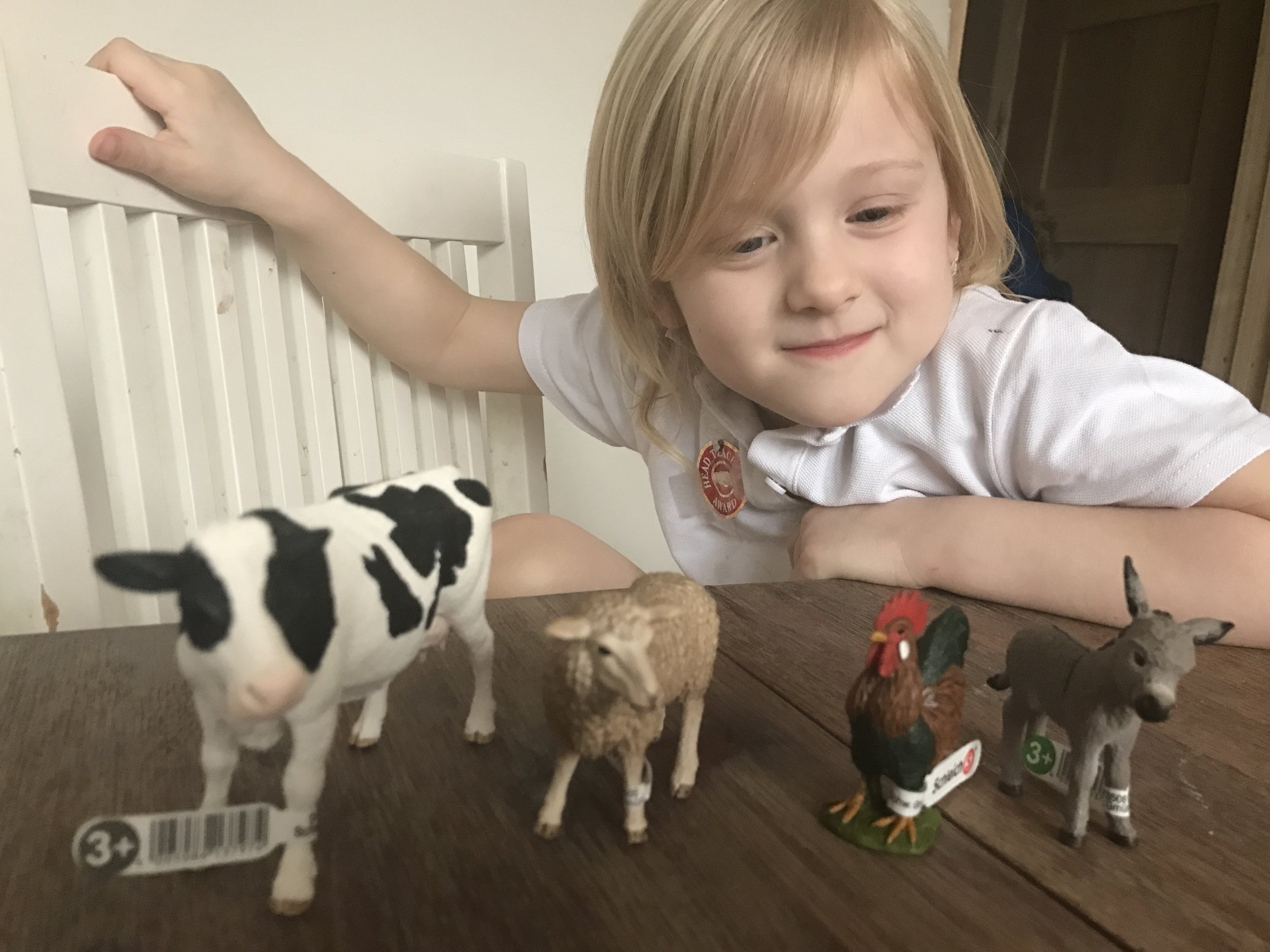 Schleich Farm World Starter Set 