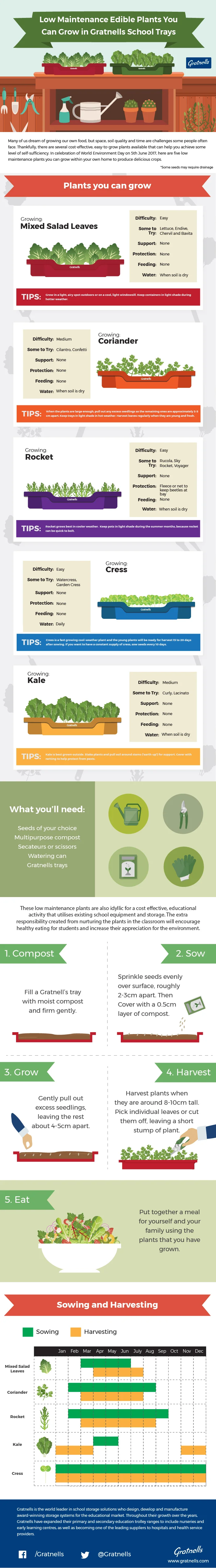 Low Maintenance, Edible Plants You Can Grow