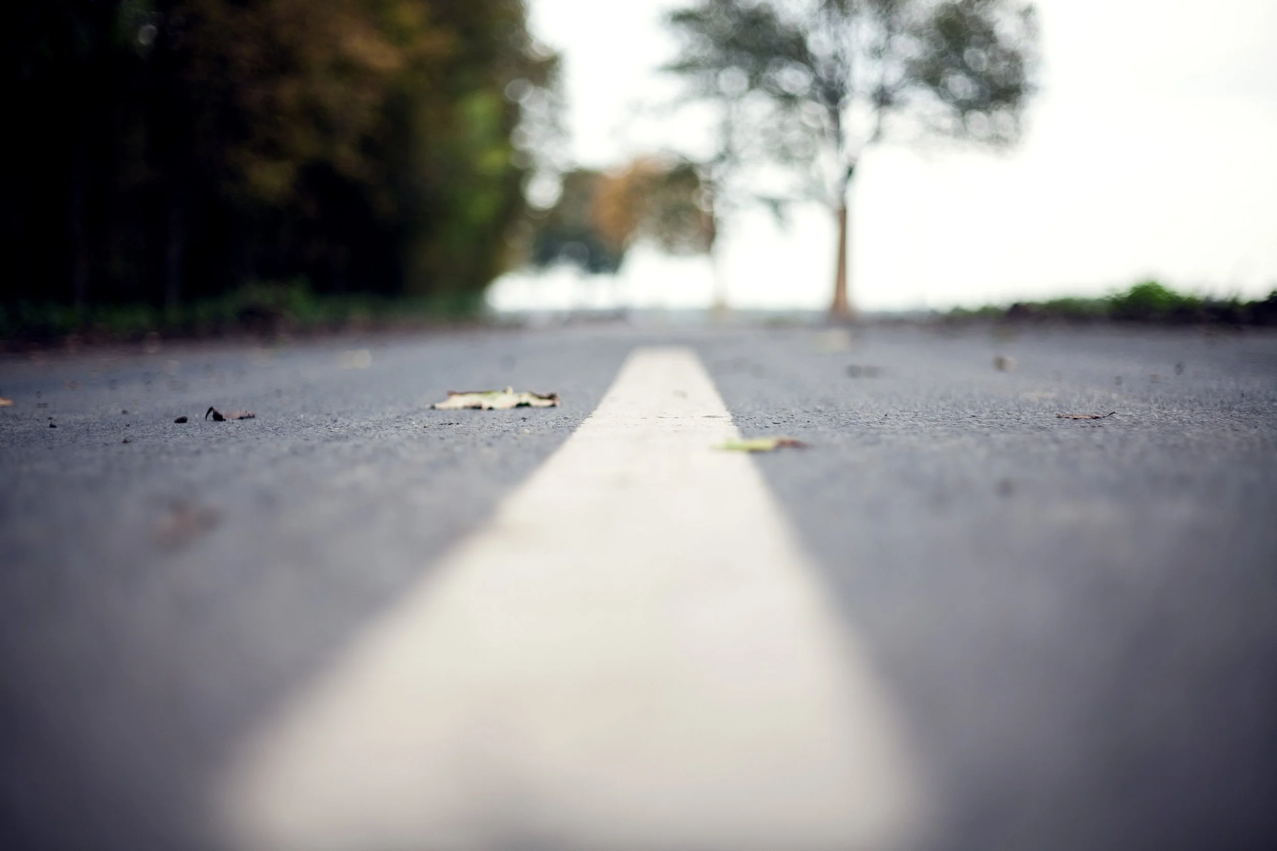 Photo by Maria Stiehler on Unsplash