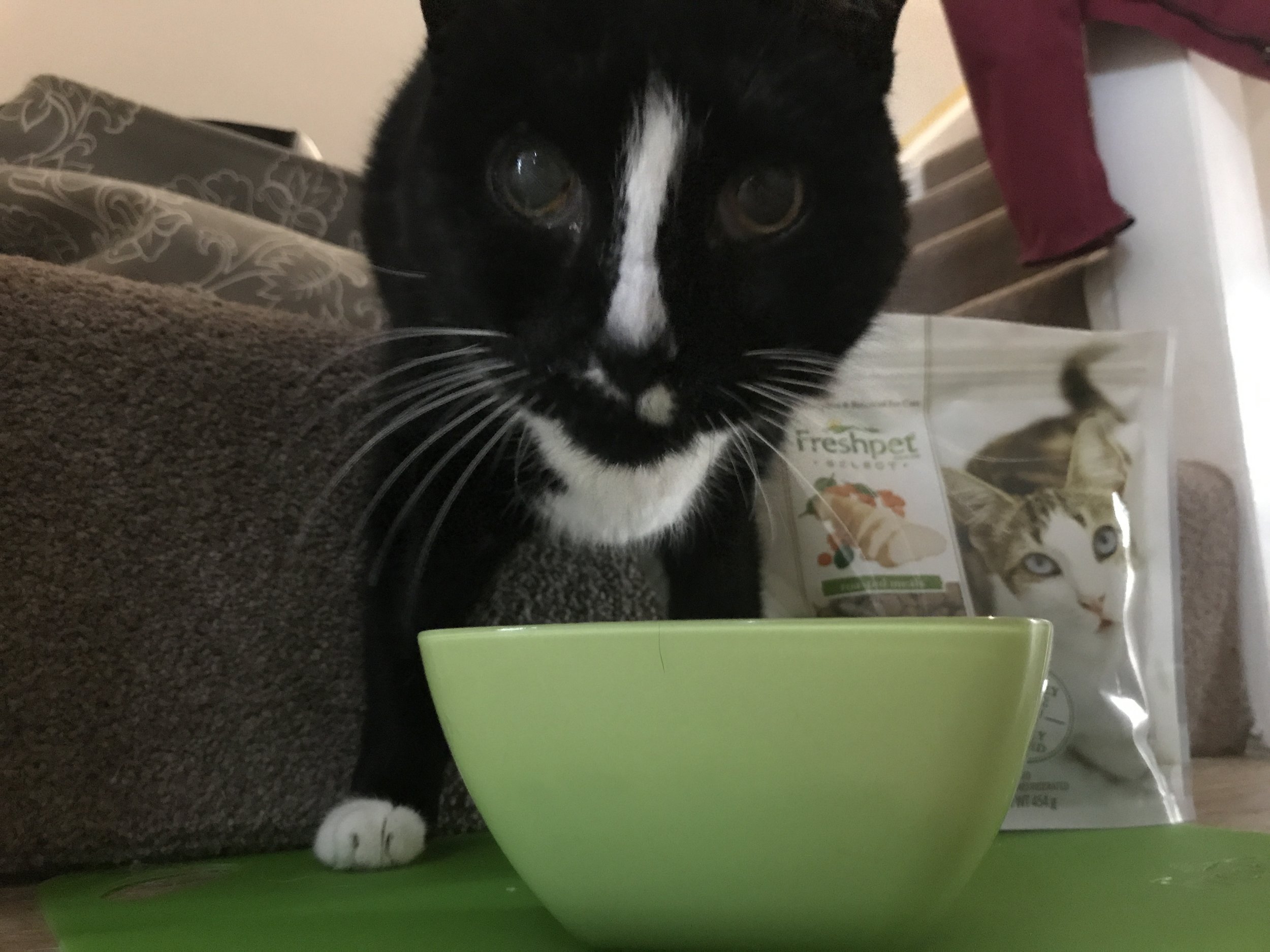 Freshpet Gourmet Pet Food