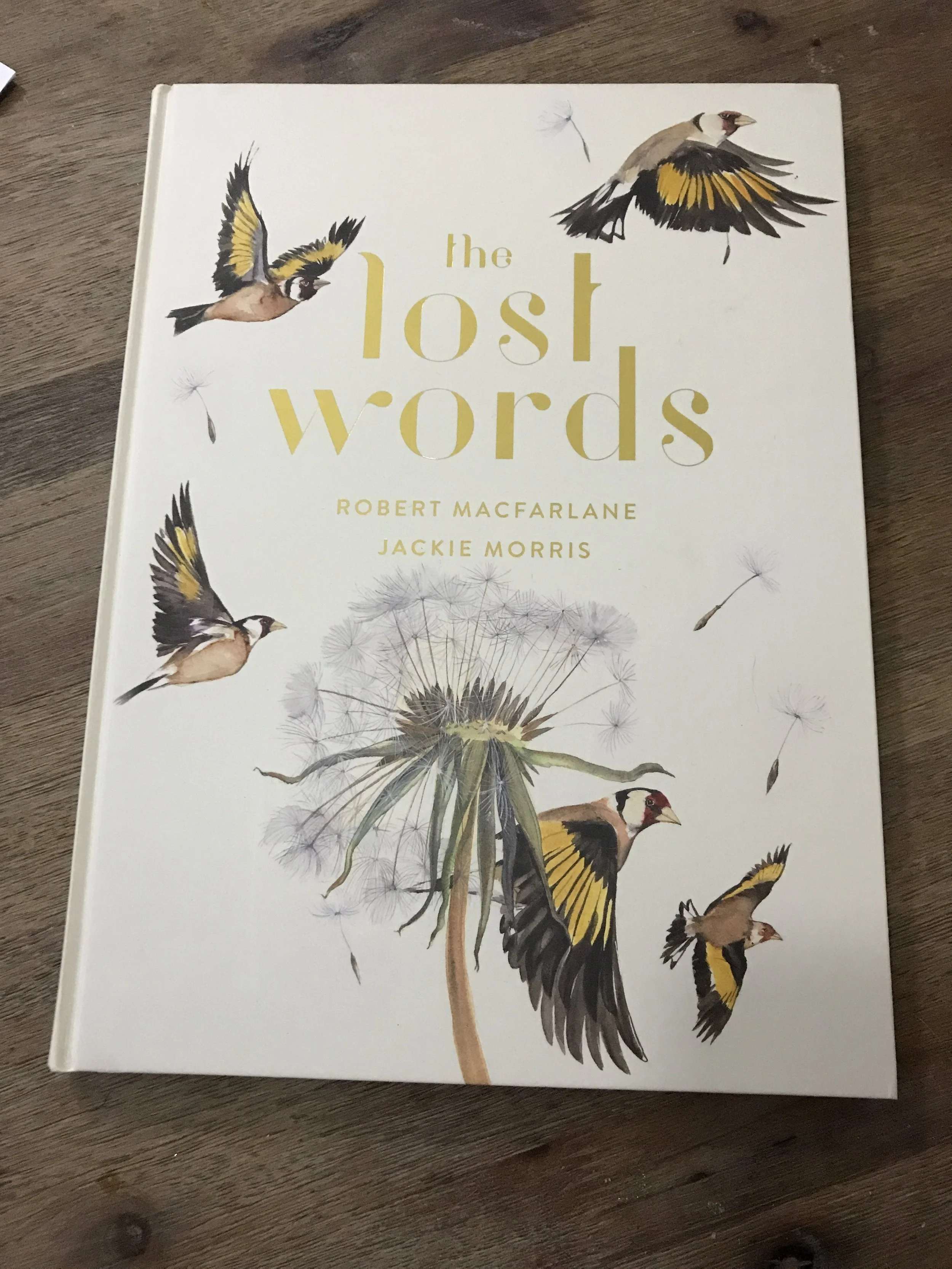 The Lost Words by Robert Macfarlane and Jackie Morris