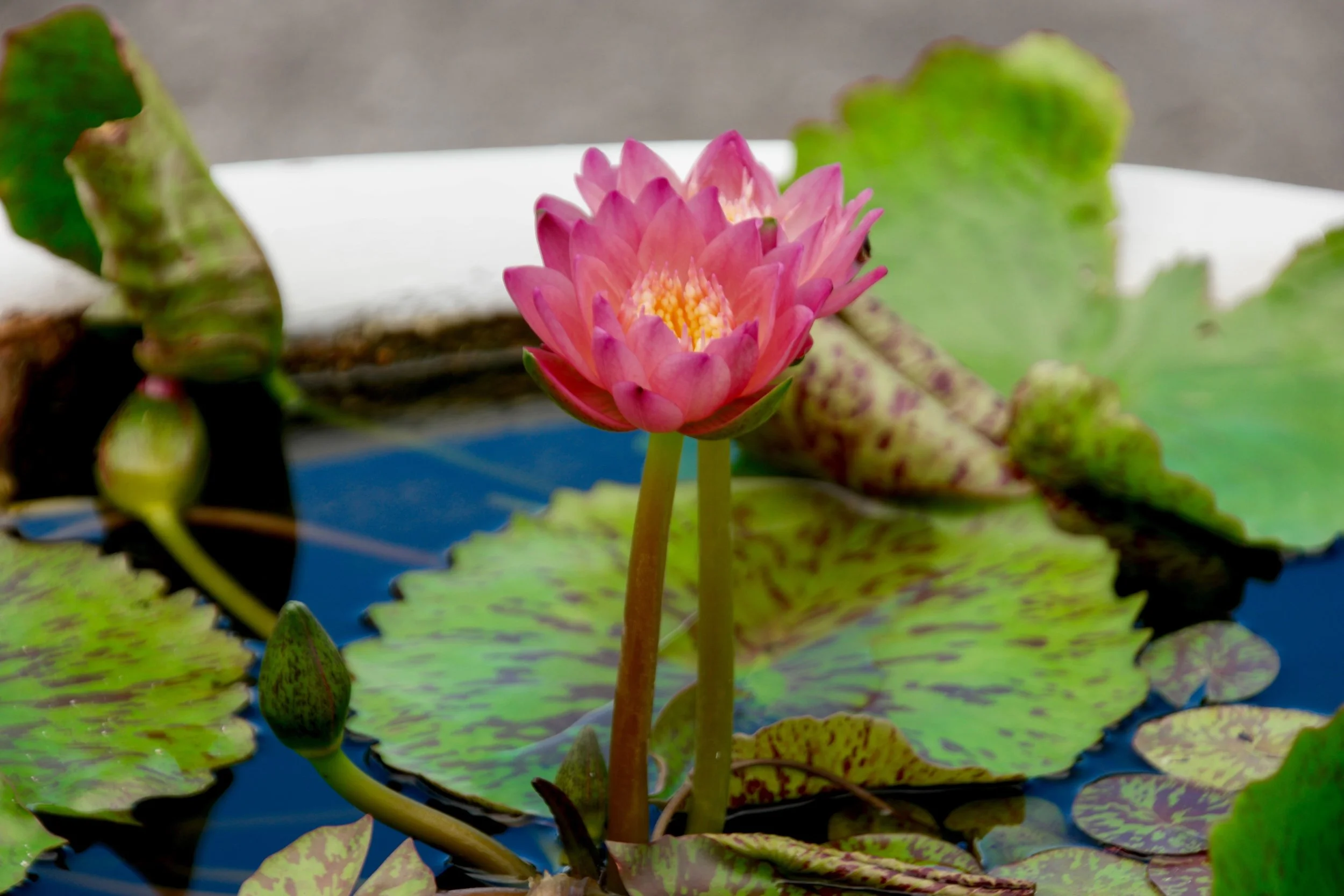 Photo by Matt Briney on Unsplash