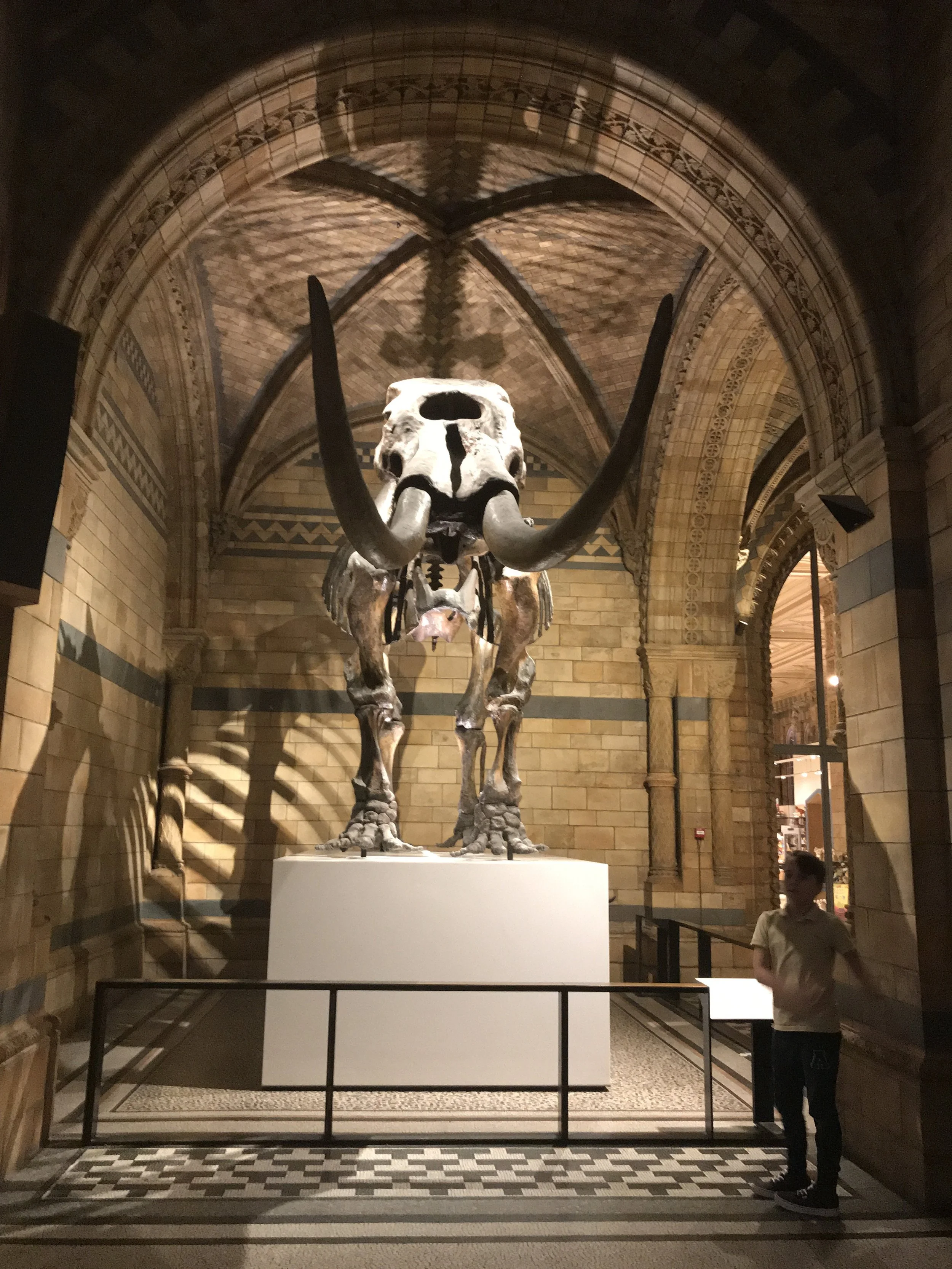 How Can You Improve Your Child's Future Job Prospects?