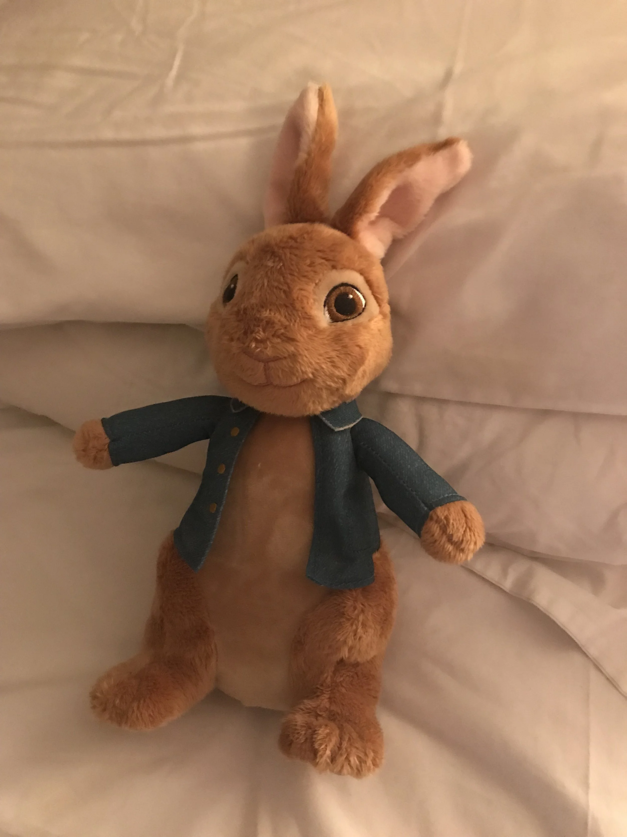 peter rabbit soft toy debenhams