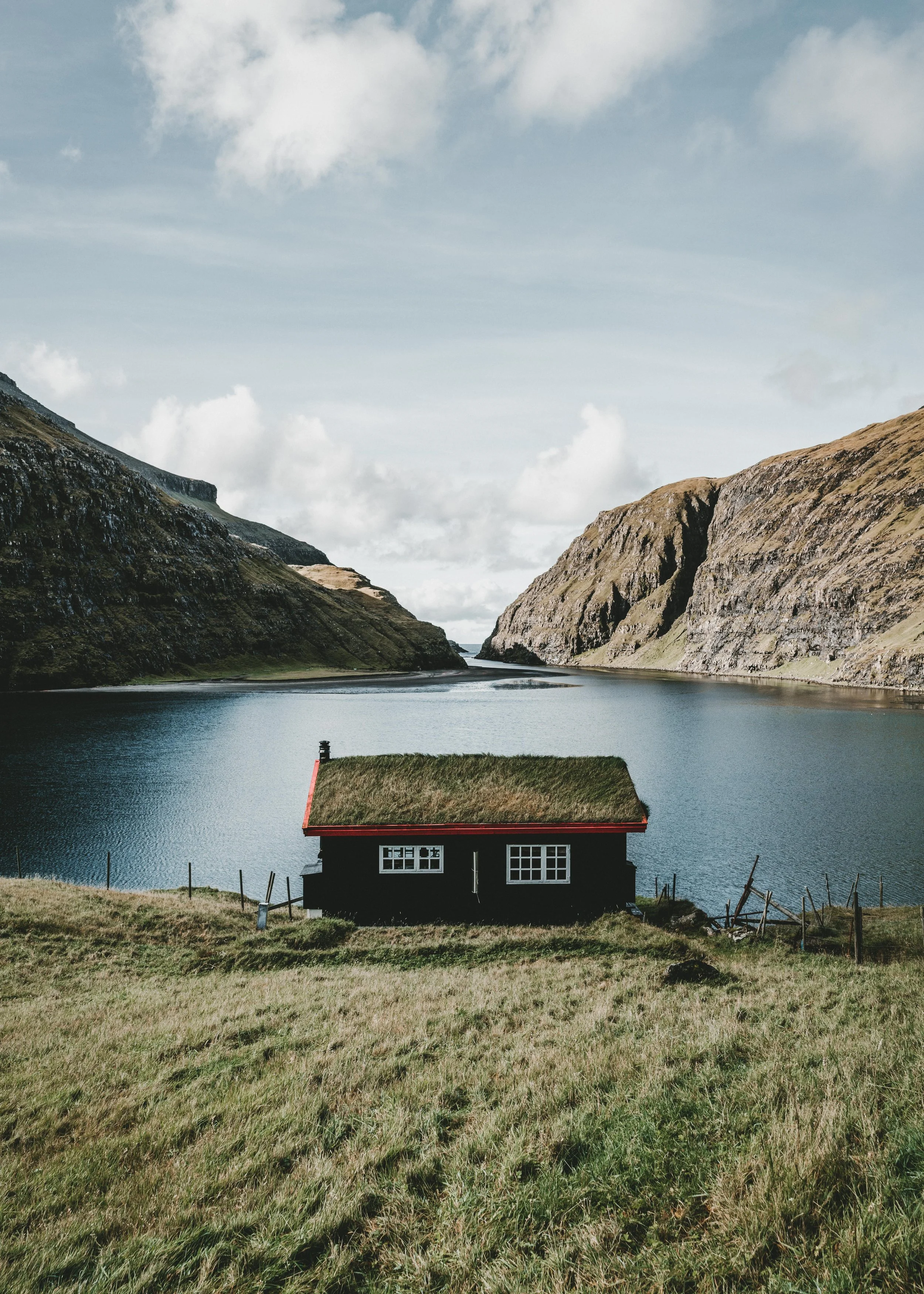 Photo by Hollie Harmsworth on Unsplash