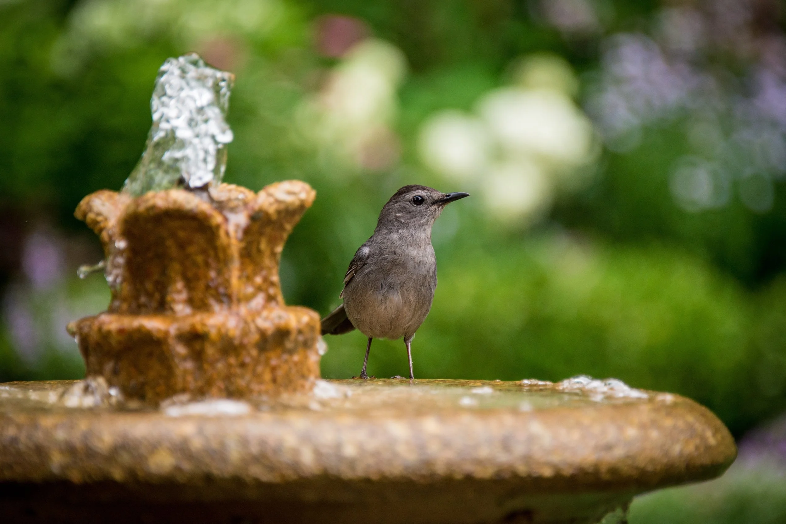 Photo by Dan Wayman on Unsplash