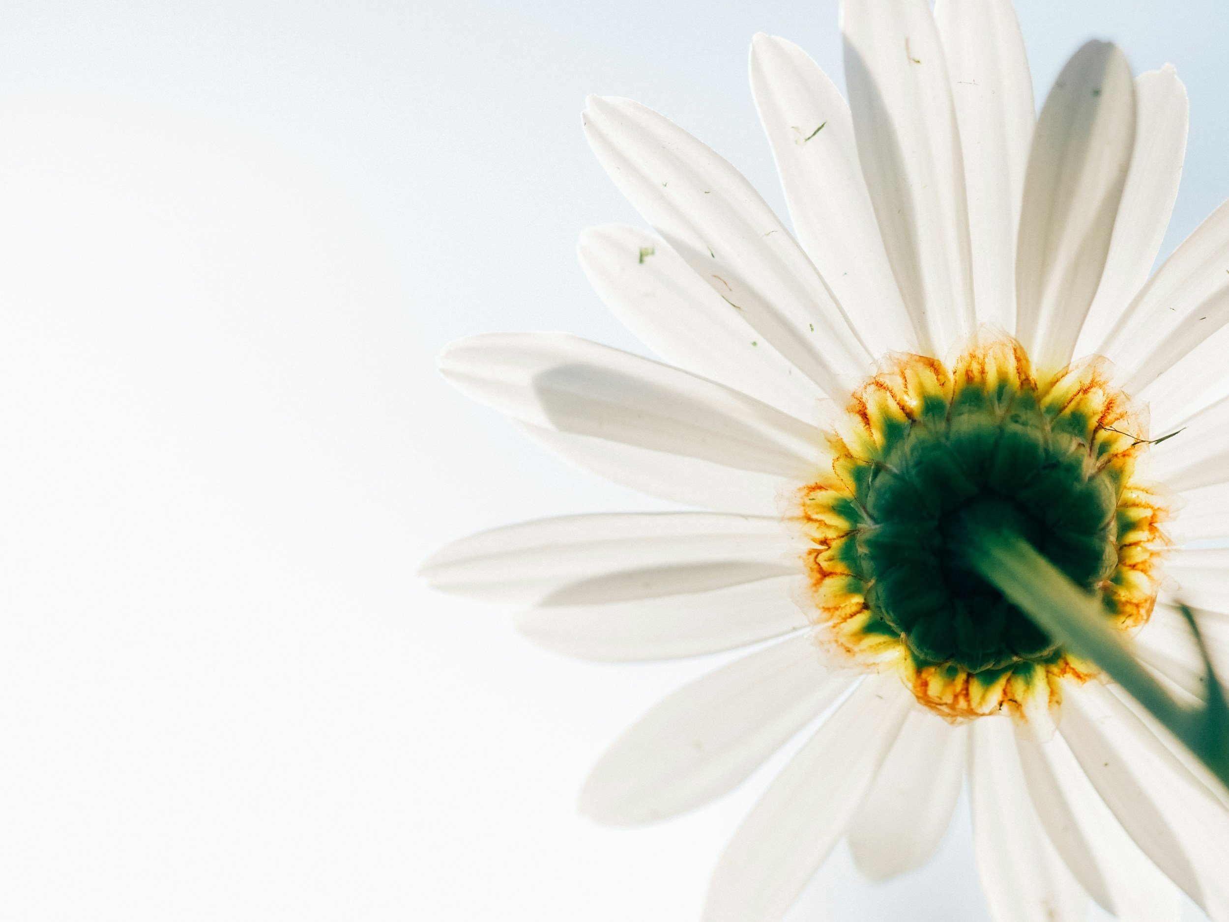 The Unexpected Joys and Realities of Becoming a Kinship Carer / Special Guardian