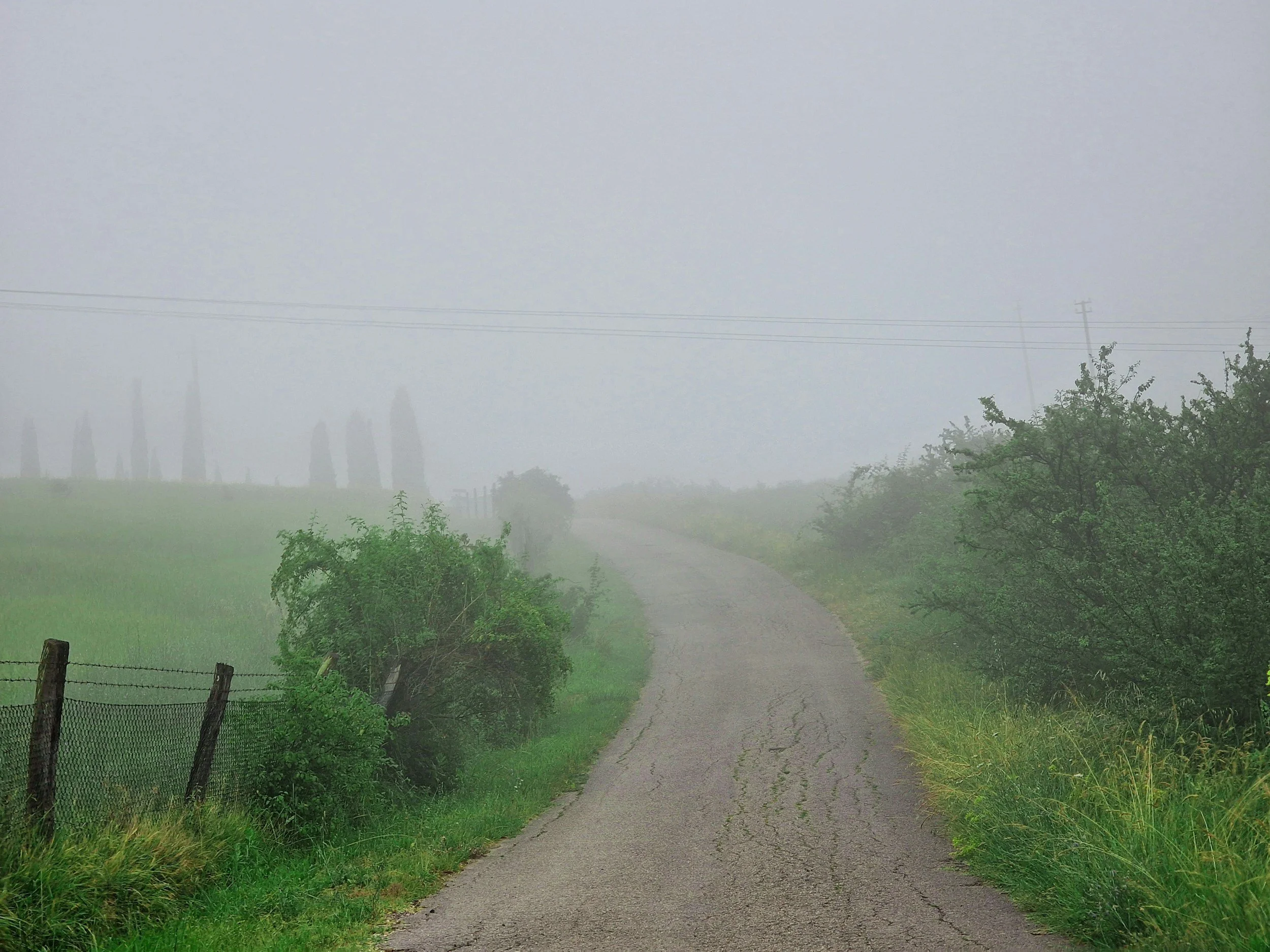 path disappearing into mist