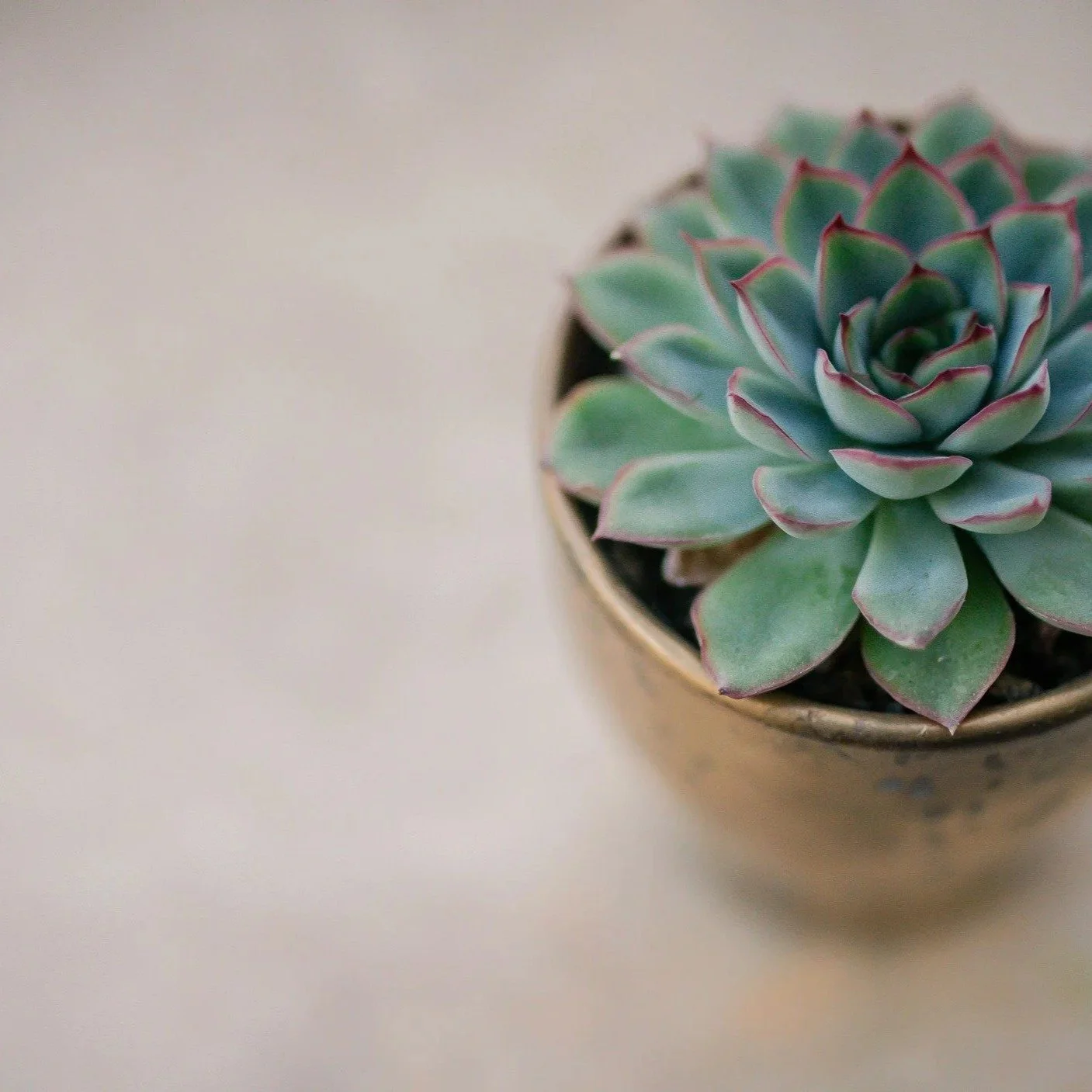 Living with ME CFS has completely changed how I think about hobbies. On flare days, energy is scarce, symptoms are loud, and even small things can tip me into post-exertional malaise (PEM).

Low-energy hobbies are not about staying busy or productive