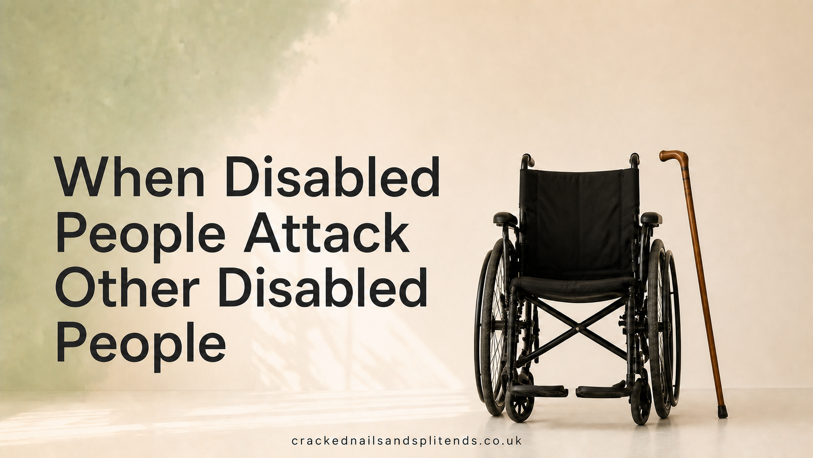 When Disabled People Attack Other Disabled People