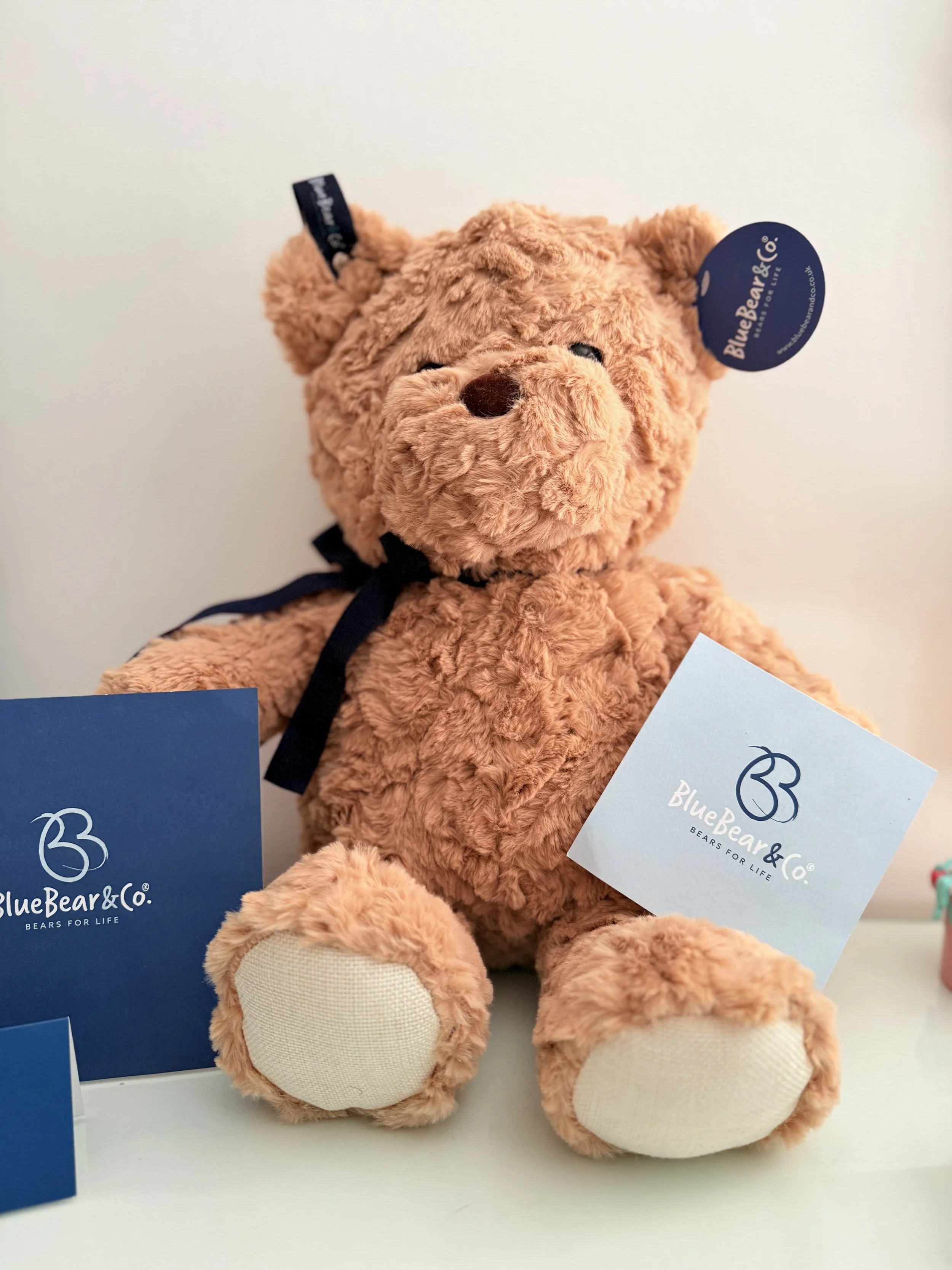 When Bedtime Feels Loud: Finding Comfort and Regulation with Blue Bear & Co.’s Brown Bear
