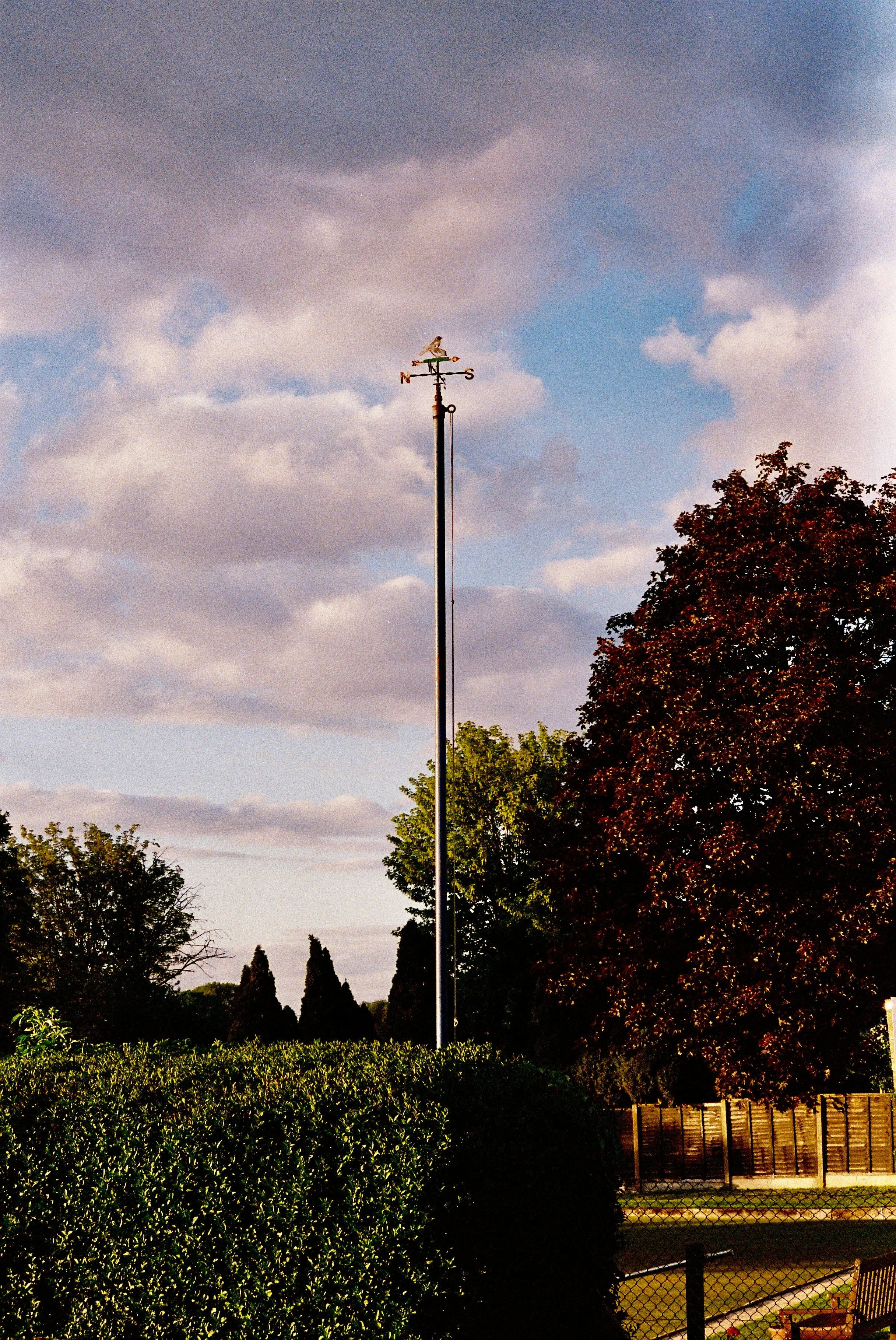A signpost against a cloudy sky, symbolising the difficult decisions, unexpected challenges and lessons learnt over thirteen years as an SGO kinship carer.