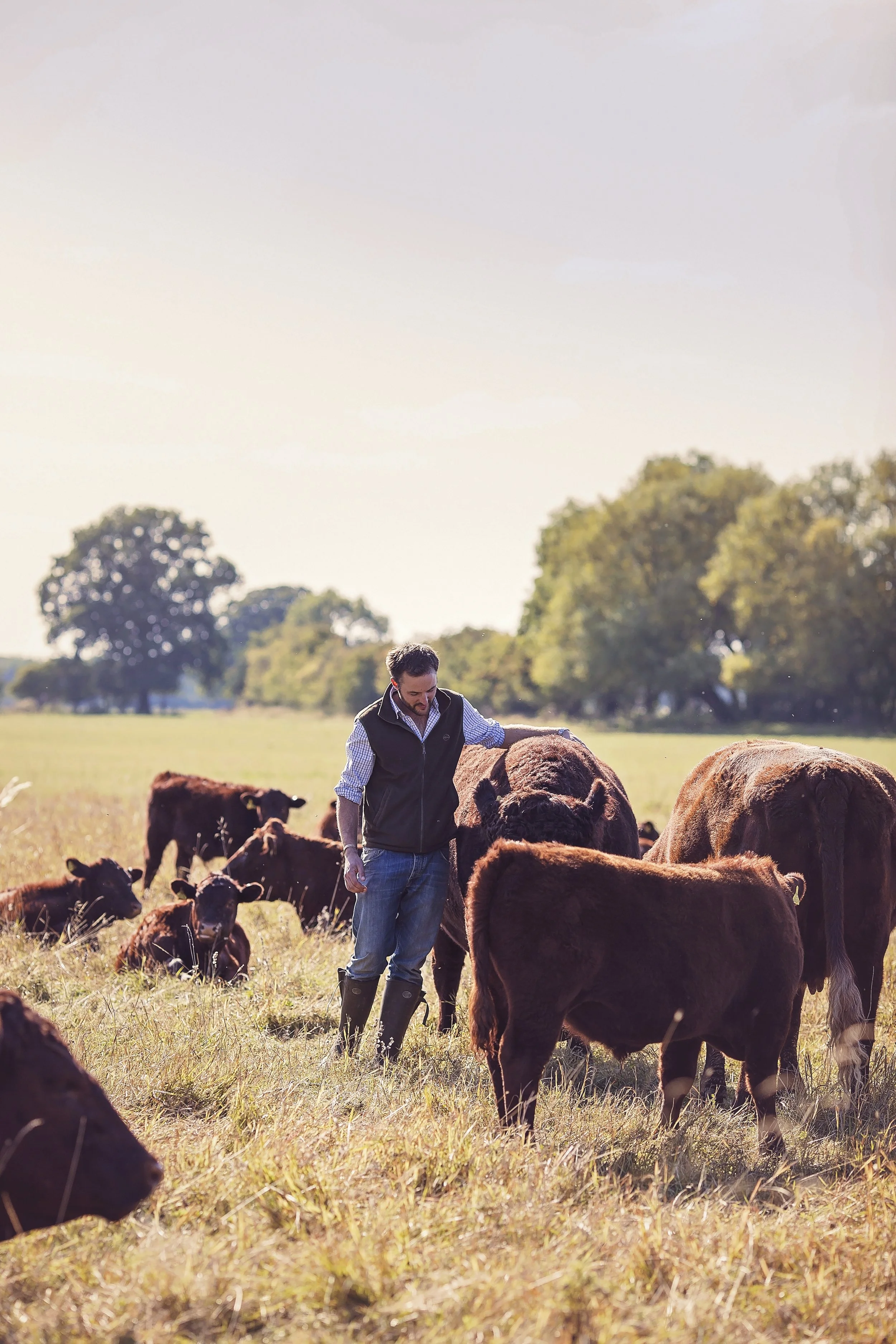 Farm Update - February 2022