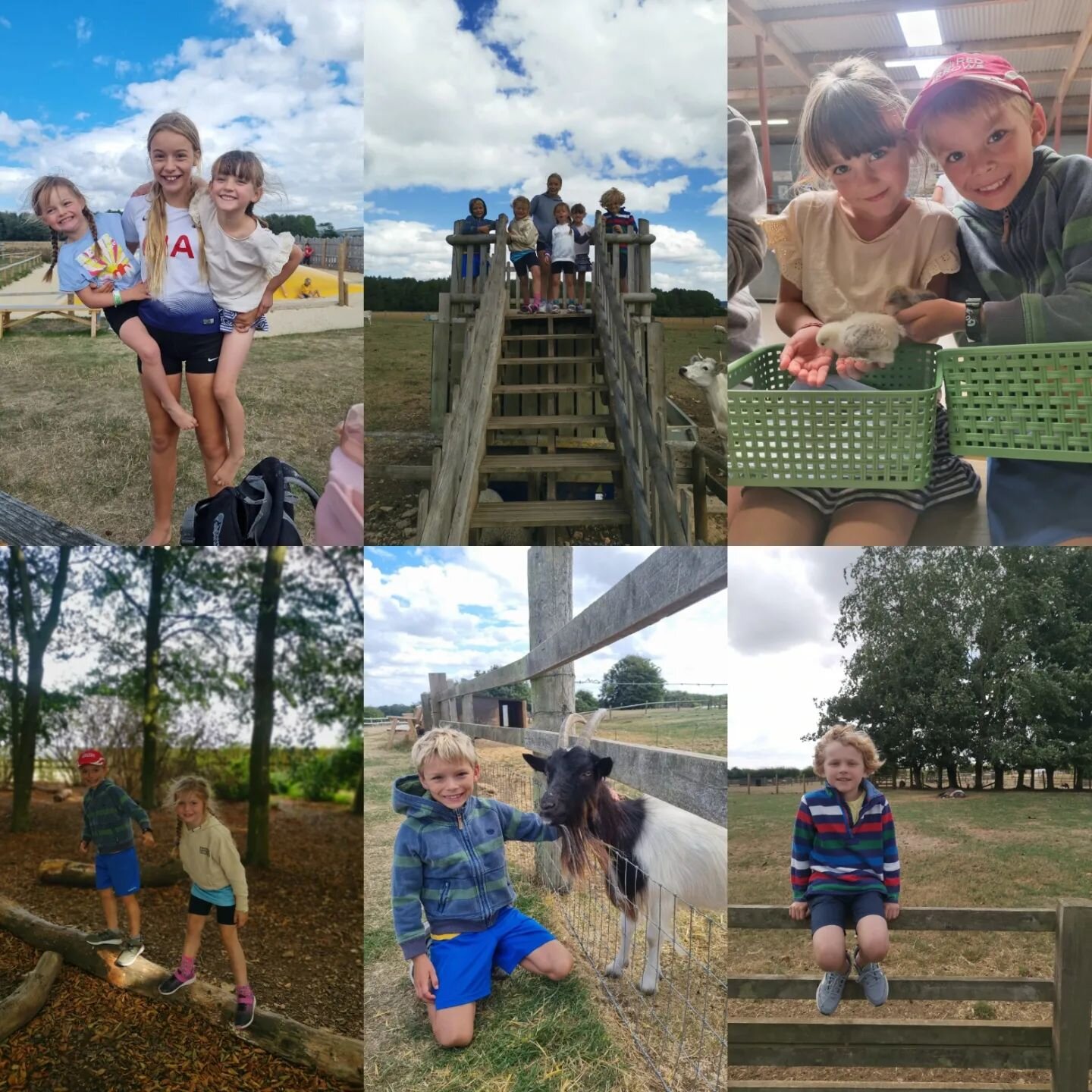 And just like that the kids are back to school.

It's felt like a crazy summer but we've managed to intersperse mental farm life with a couple of day trips. We finished off the holidays with a visit to @cotswoldfarmpark with some village friends (yes