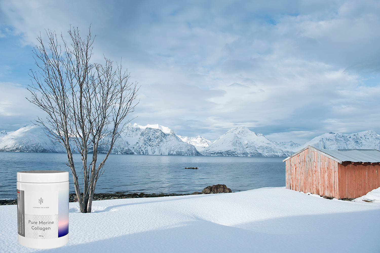 Photographer Johan Wildhagen - Norwegian Seafood Council