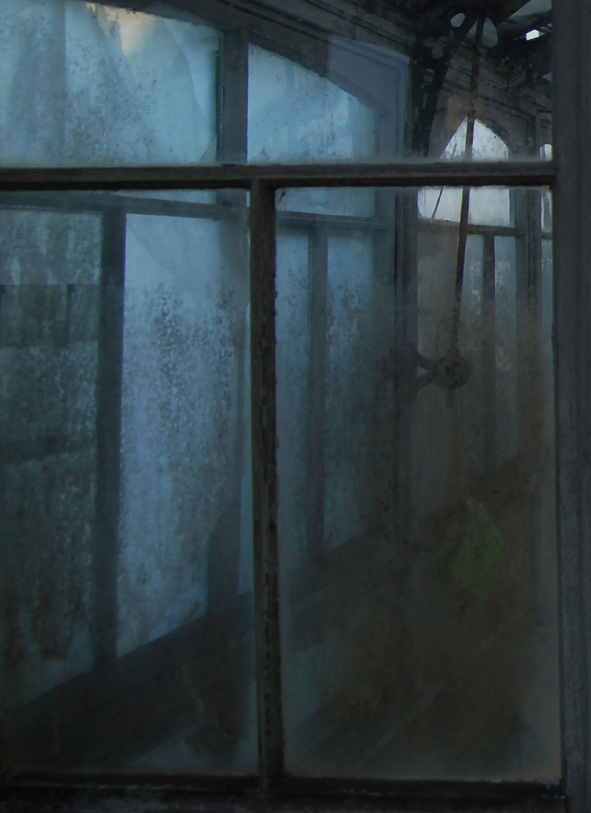 Glasshouse iii