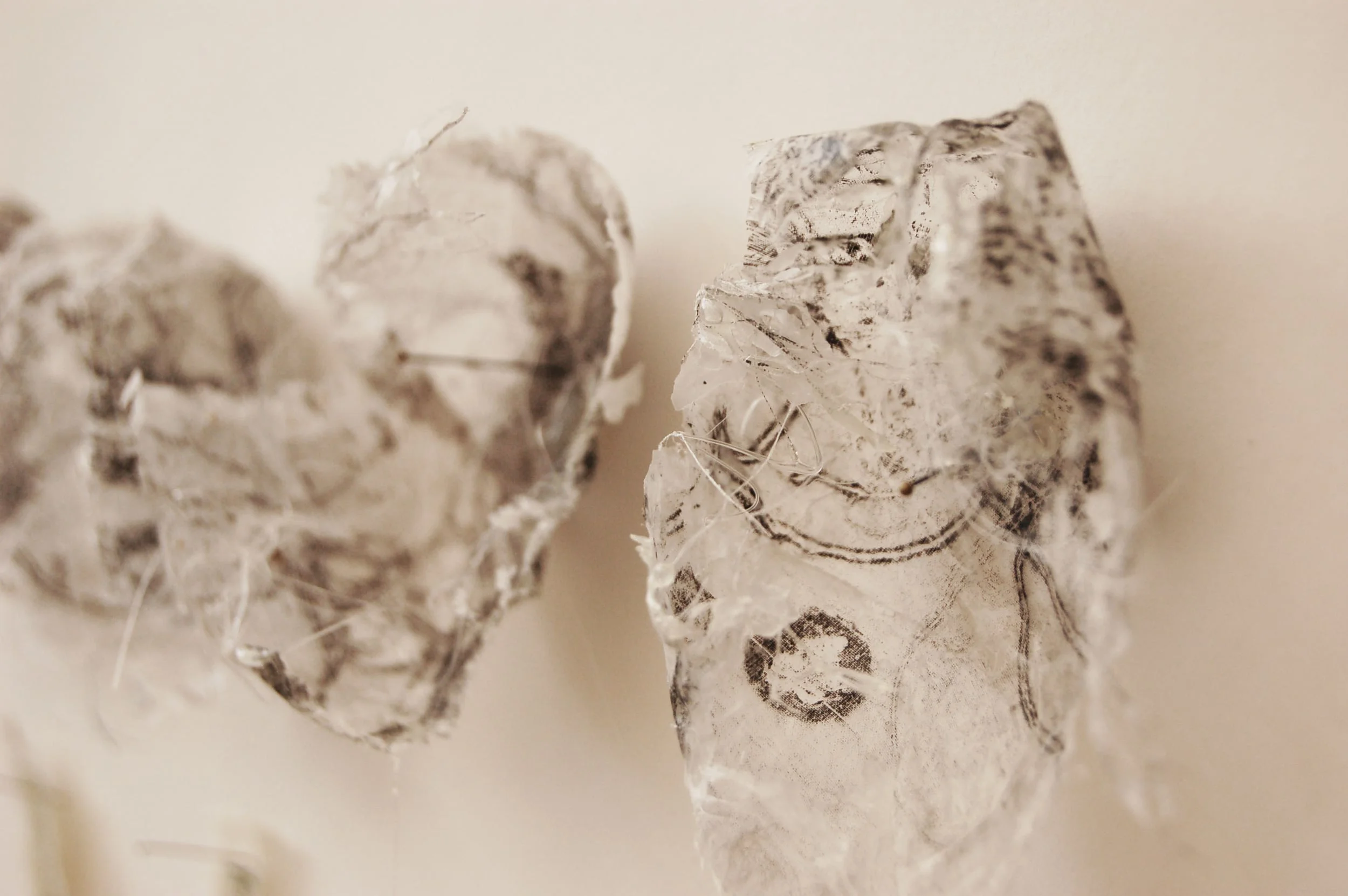 Pods